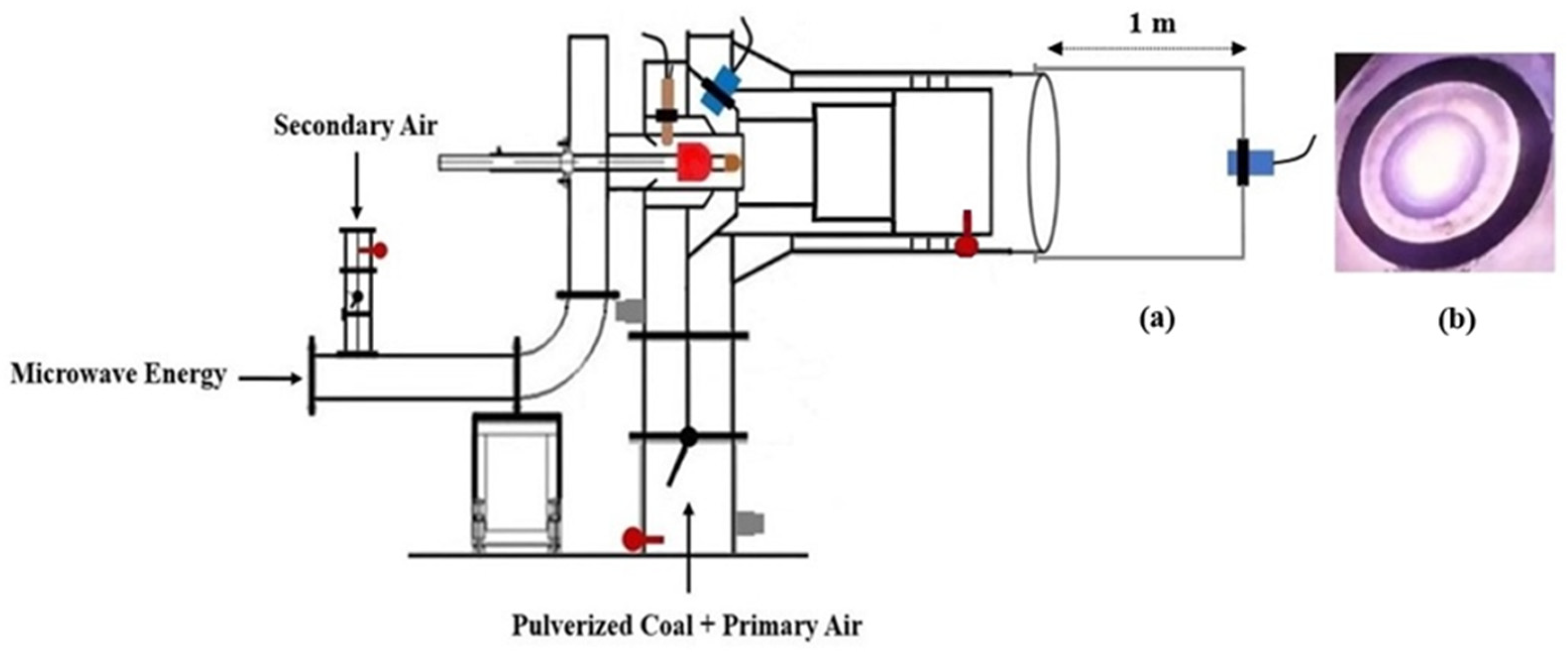 Preprints 156899 g006