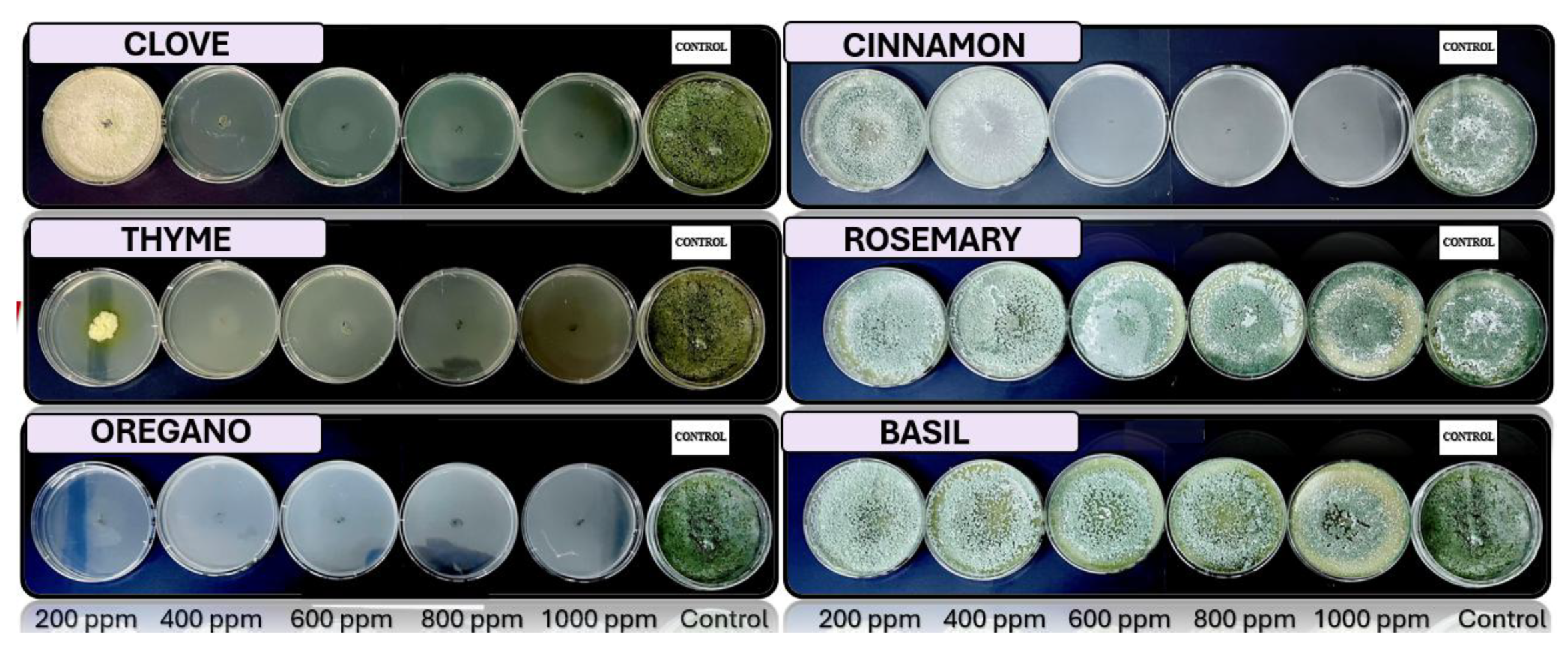 Preprints 147246 g002