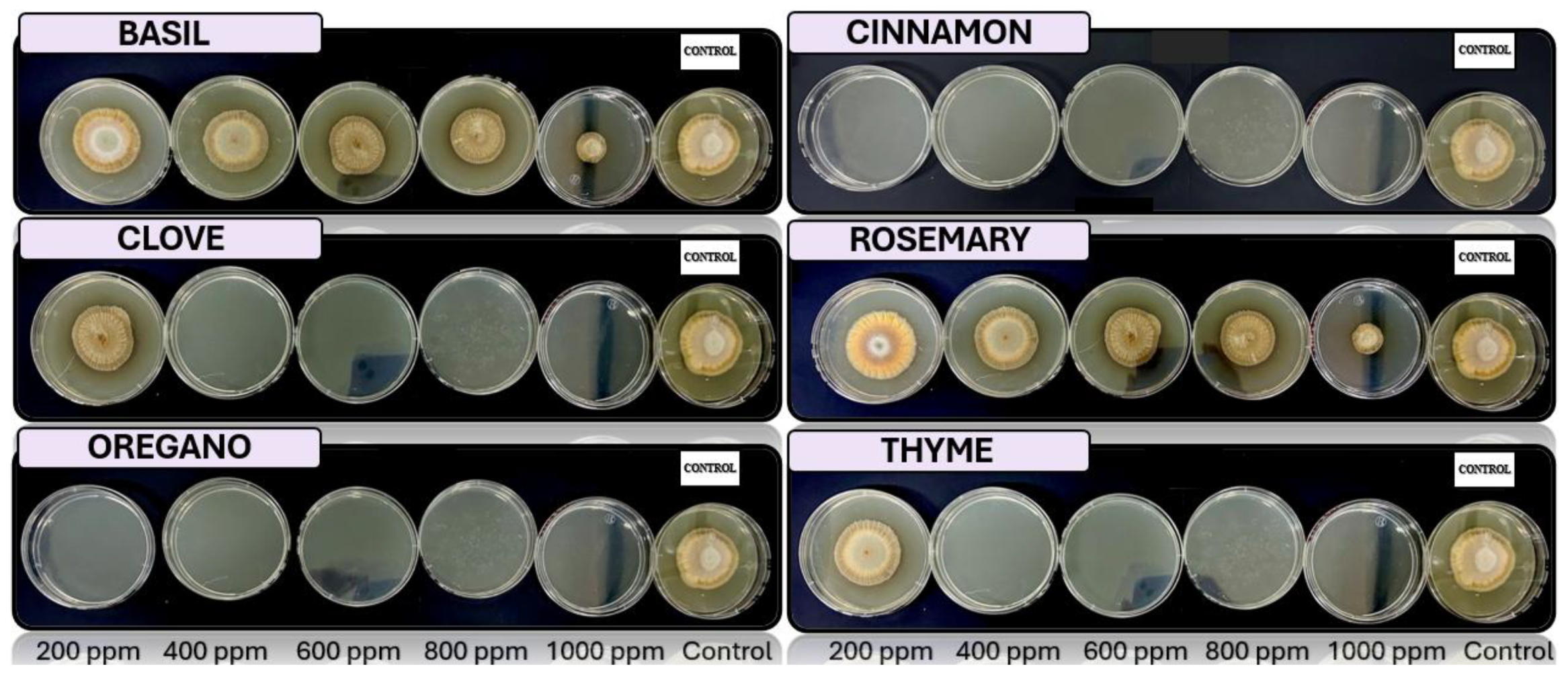 Preprints 147246 g004