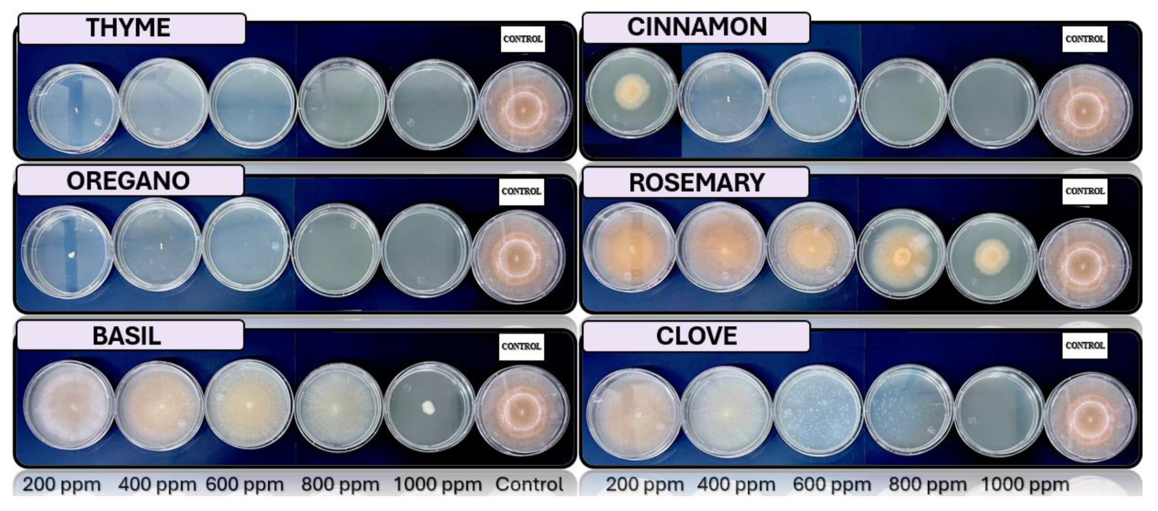 Preprints 147246 g005