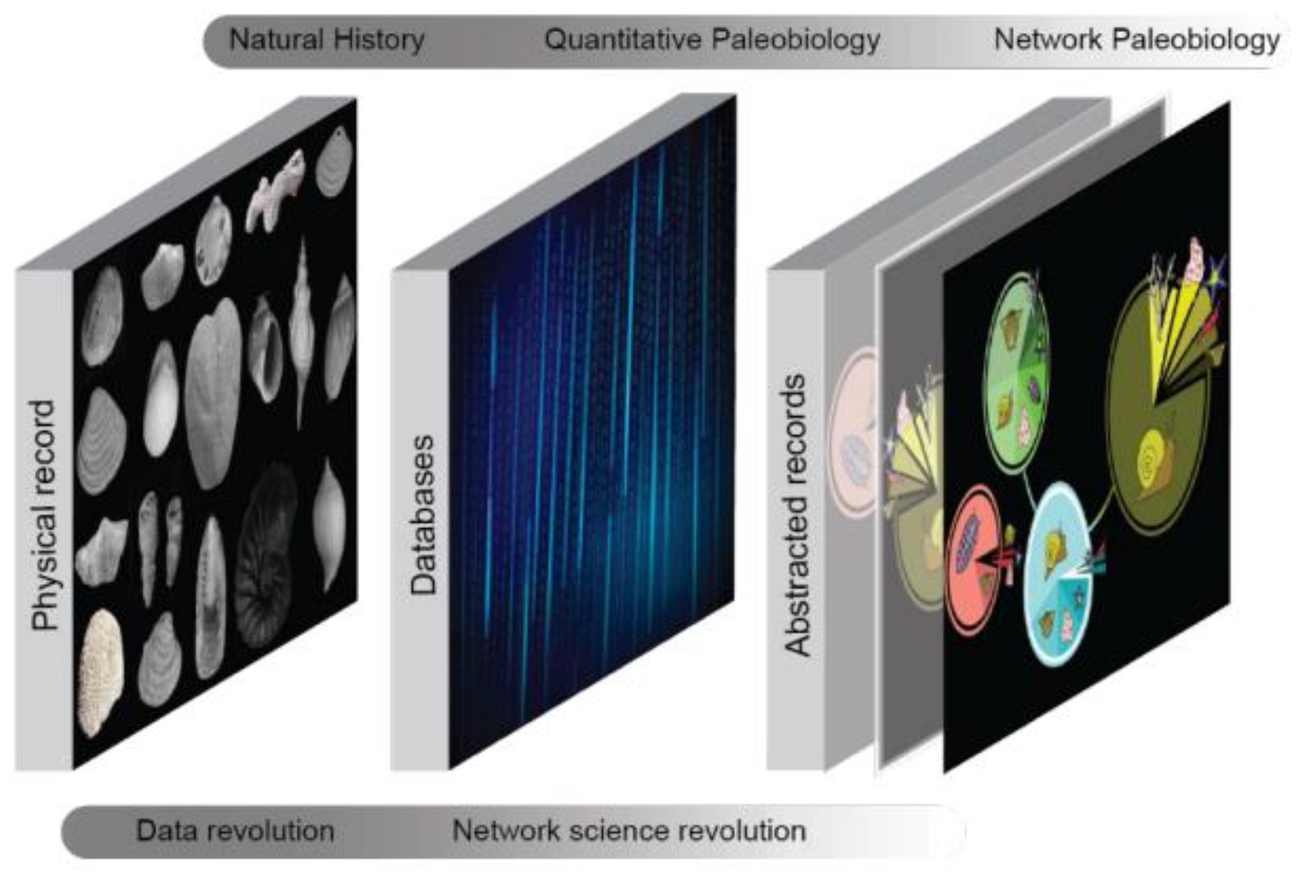 Preprints 230057 g002