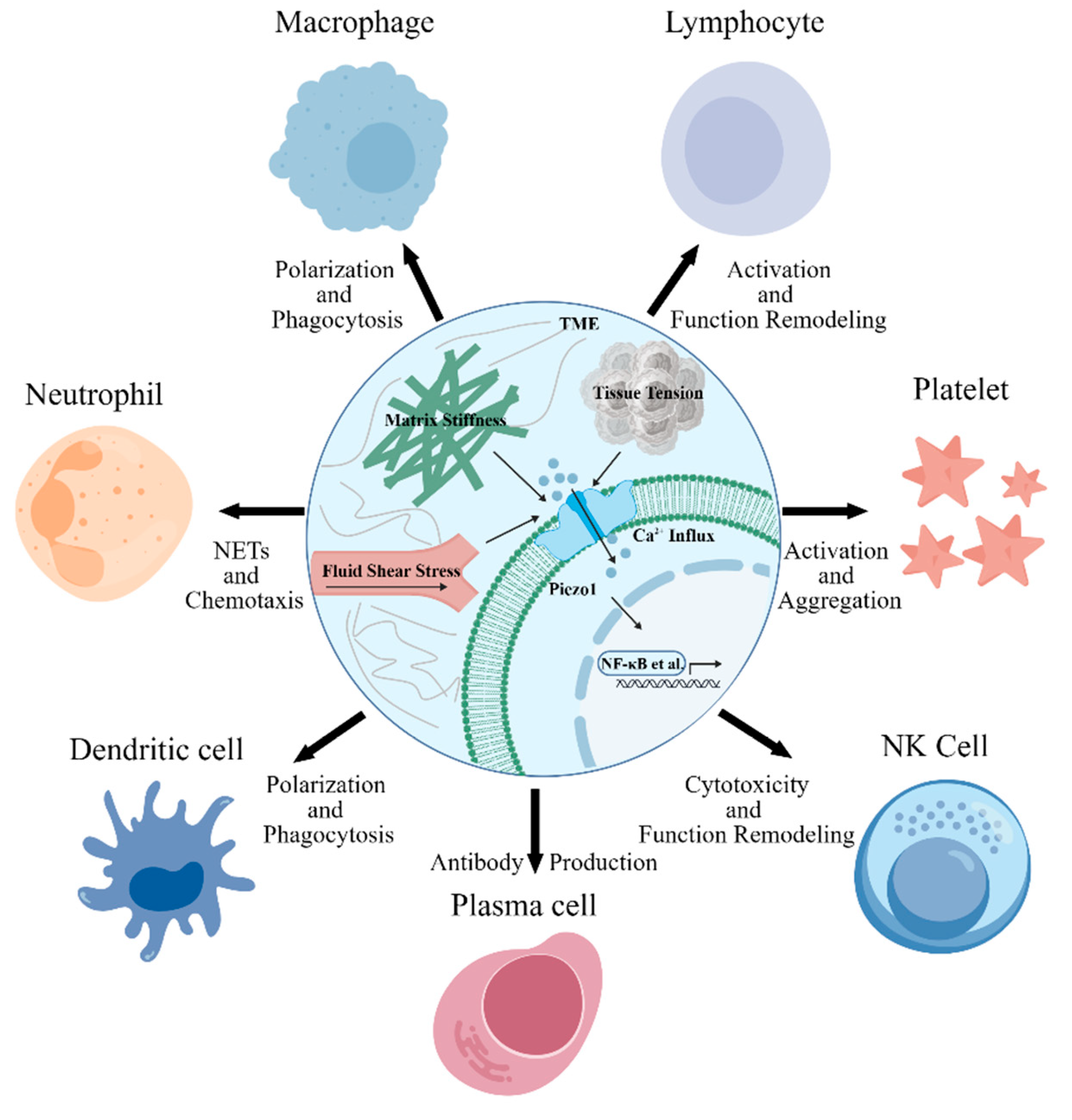 Preprints 210303 g001
