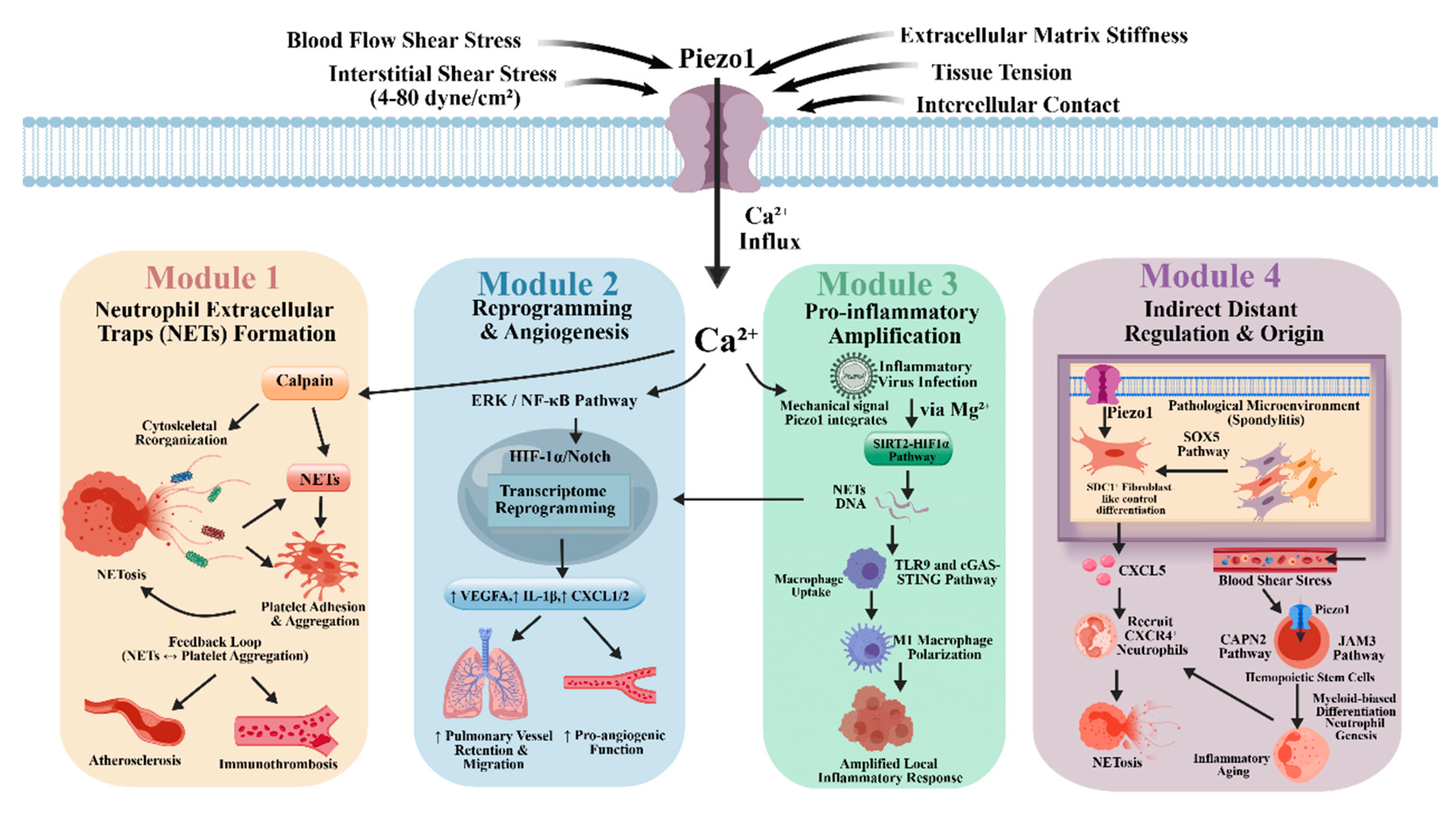Preprints 210303 g002