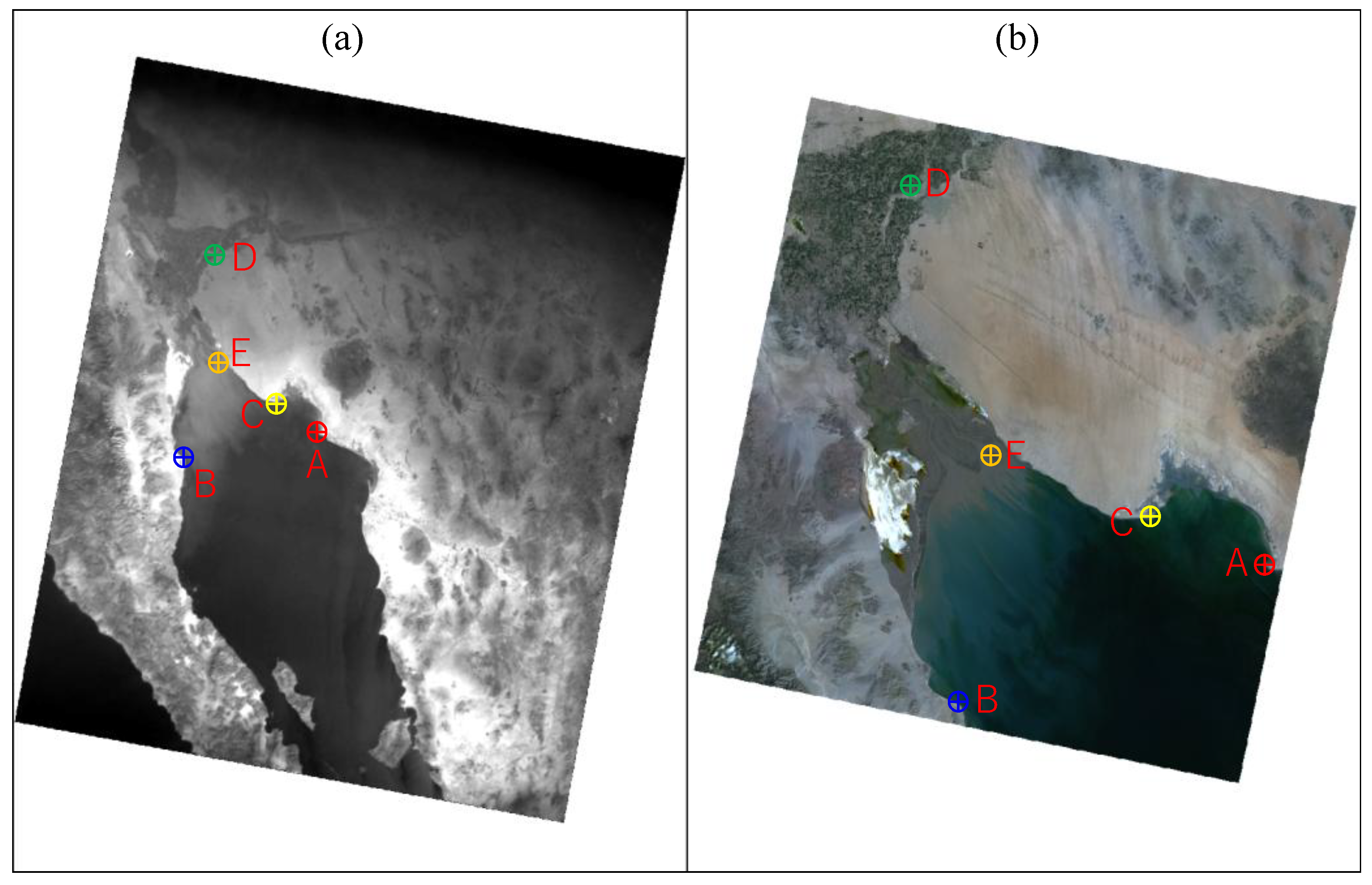 Preprints 157215 g019