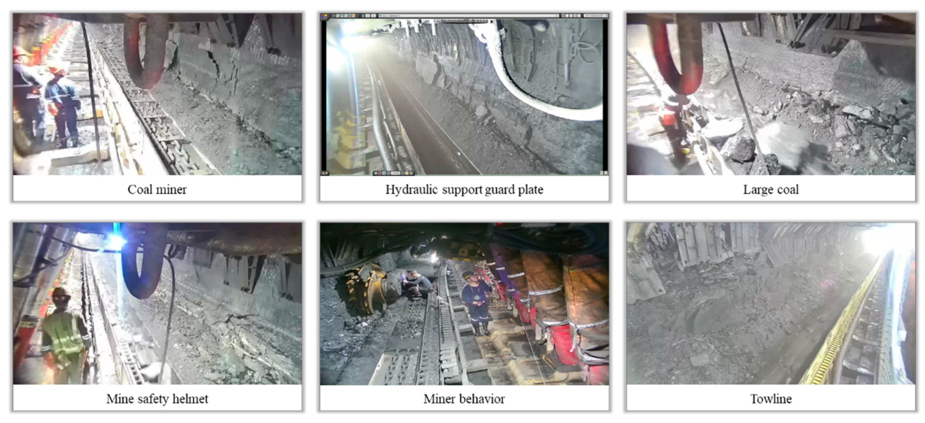 Preprints 97270 g004