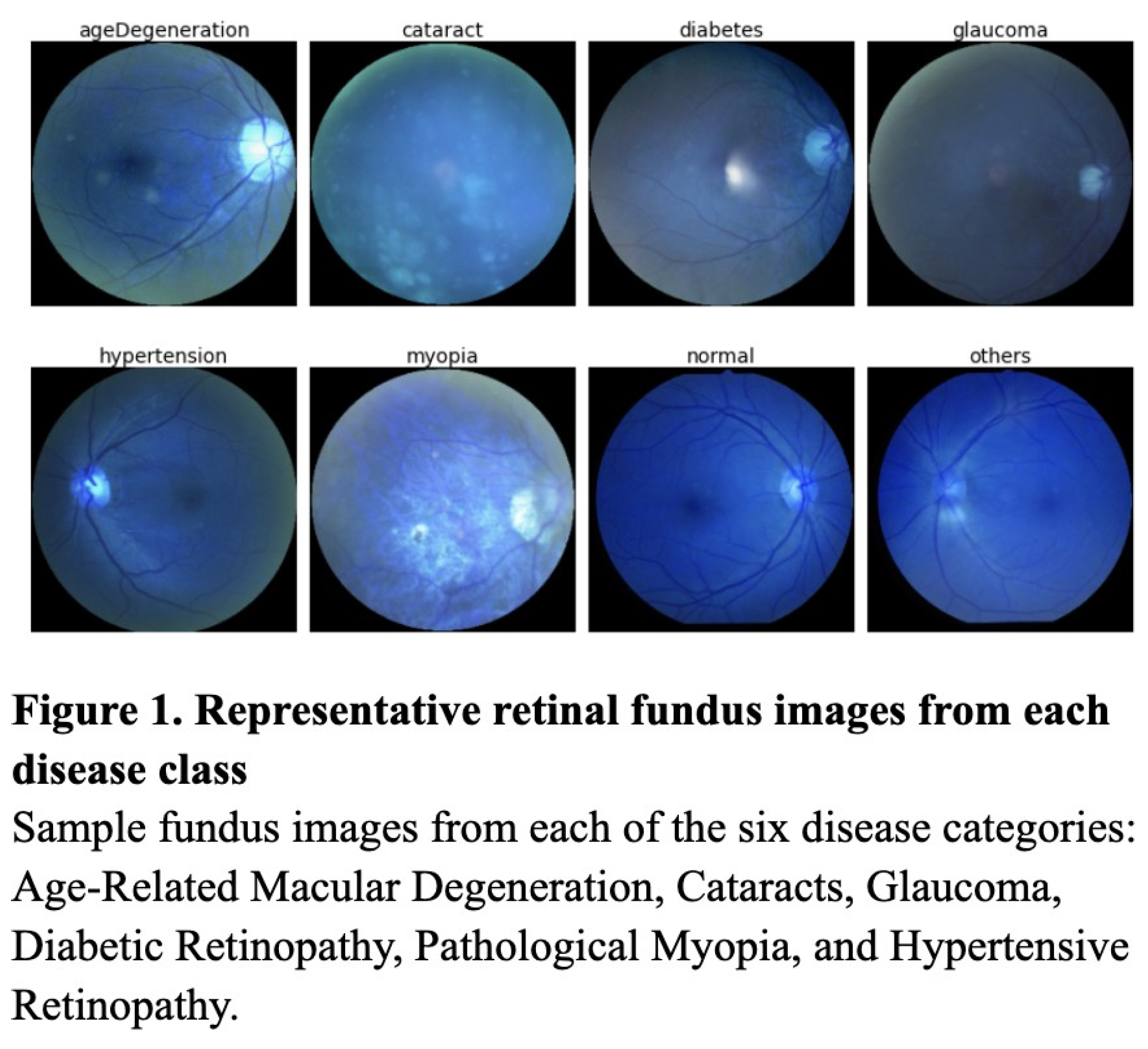Preprints 168333 g001