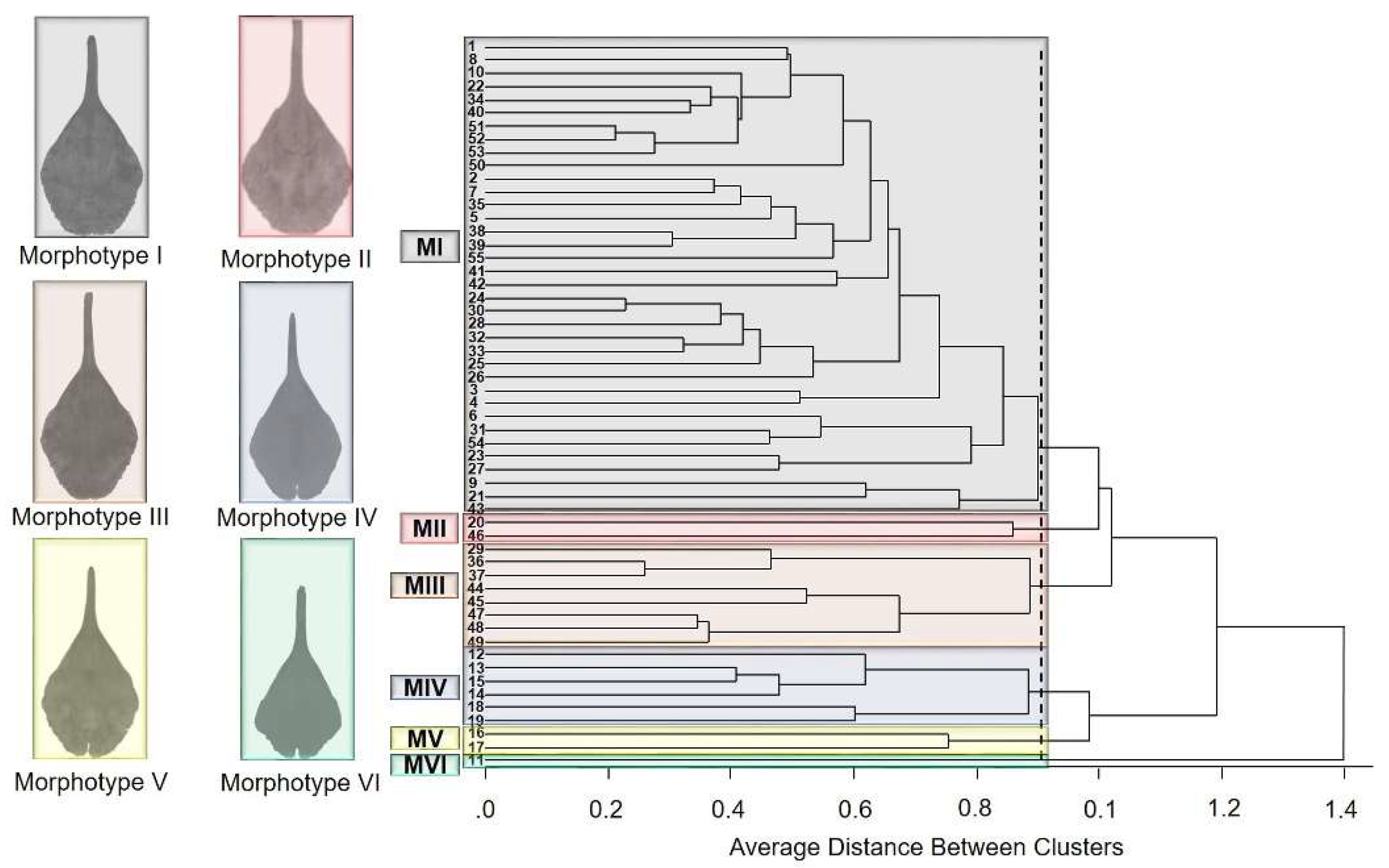 Preprints 84878 g005
