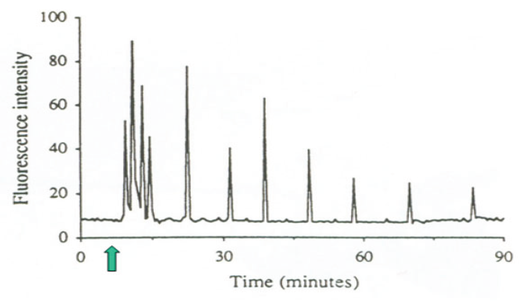 Preprints 161474 g001