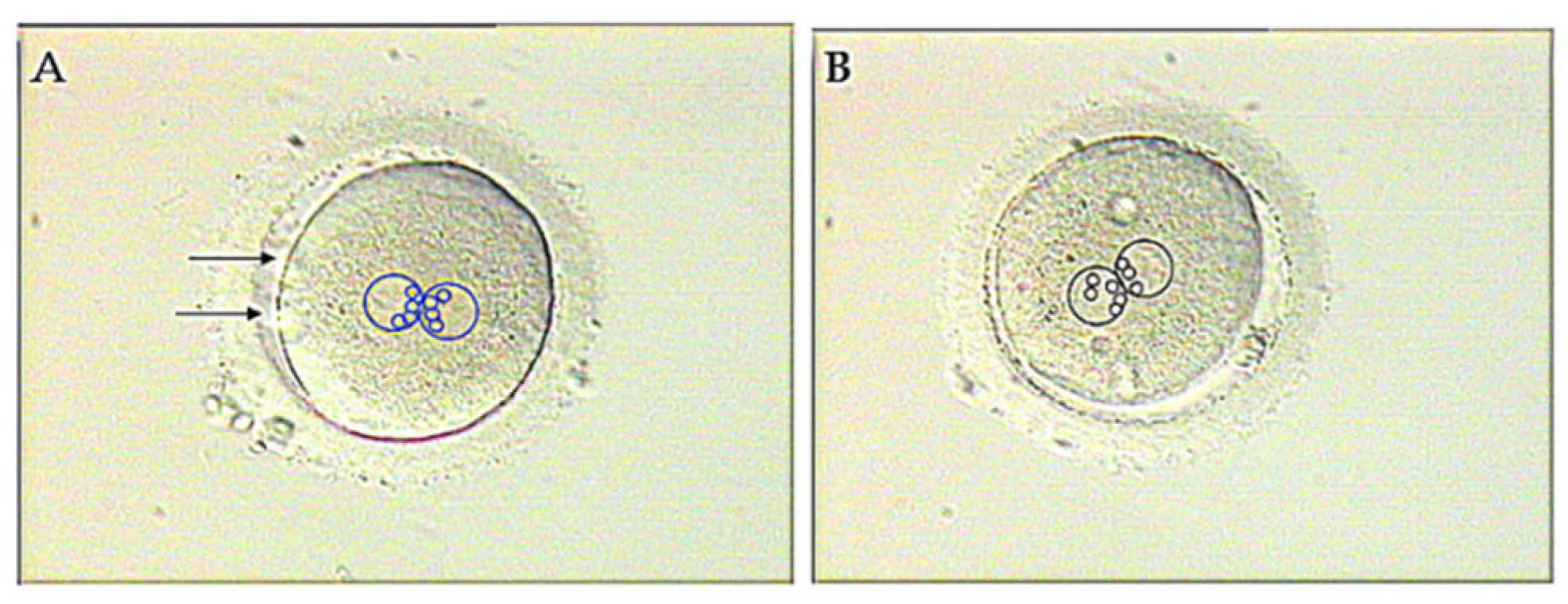 Preprints 161474 g006