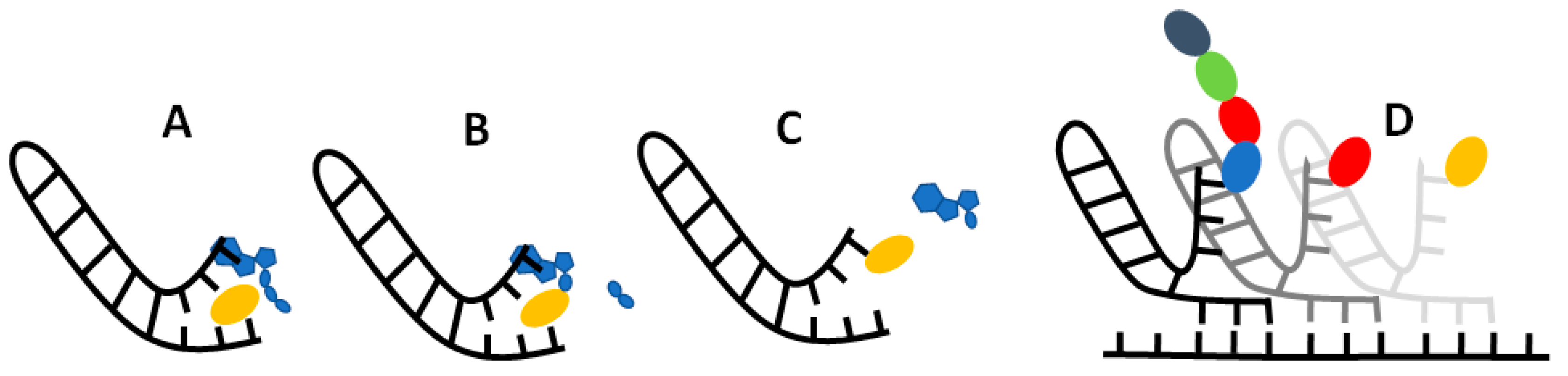 Preprints 70705 g007