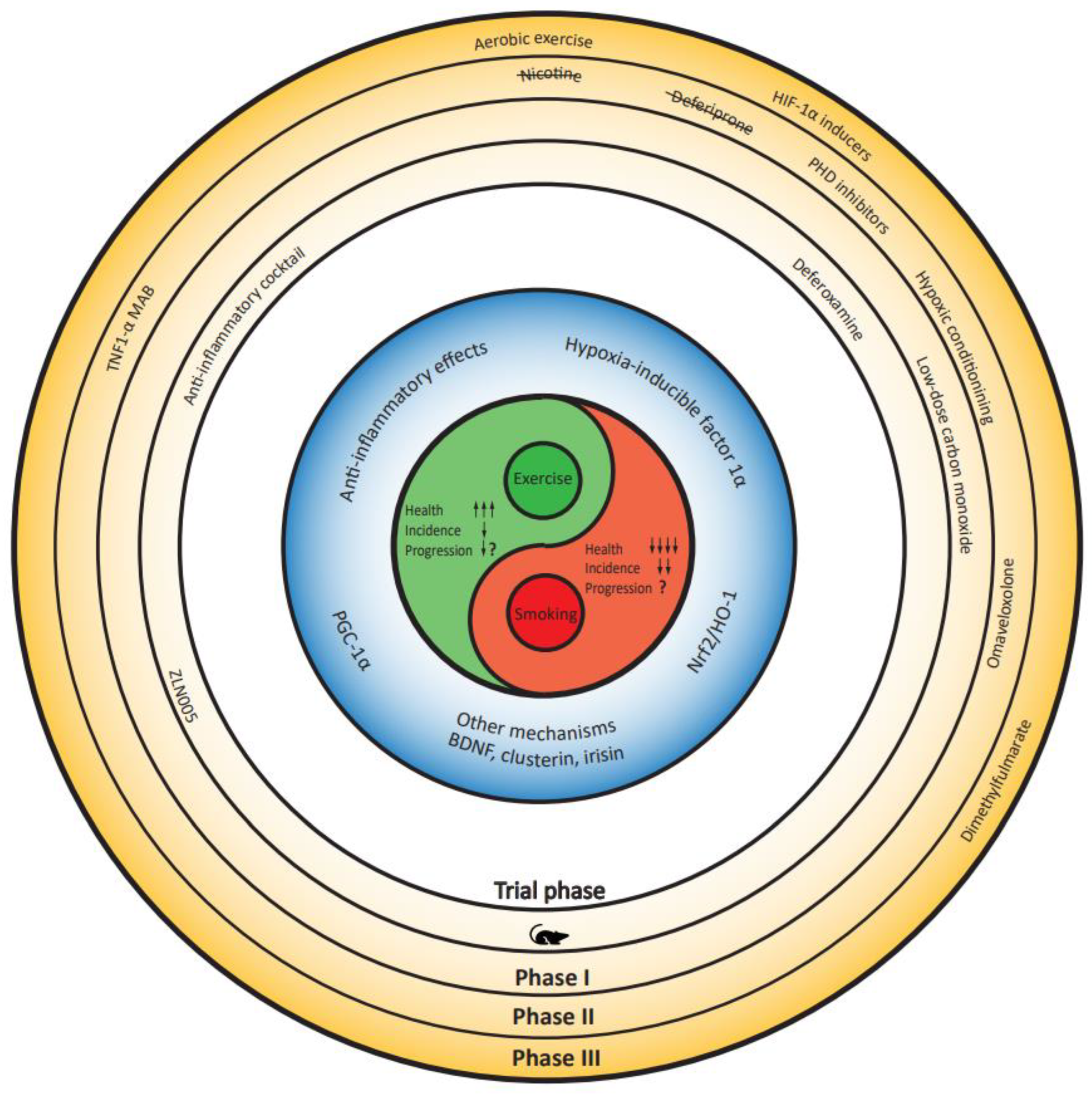 Preprints 167555 g001