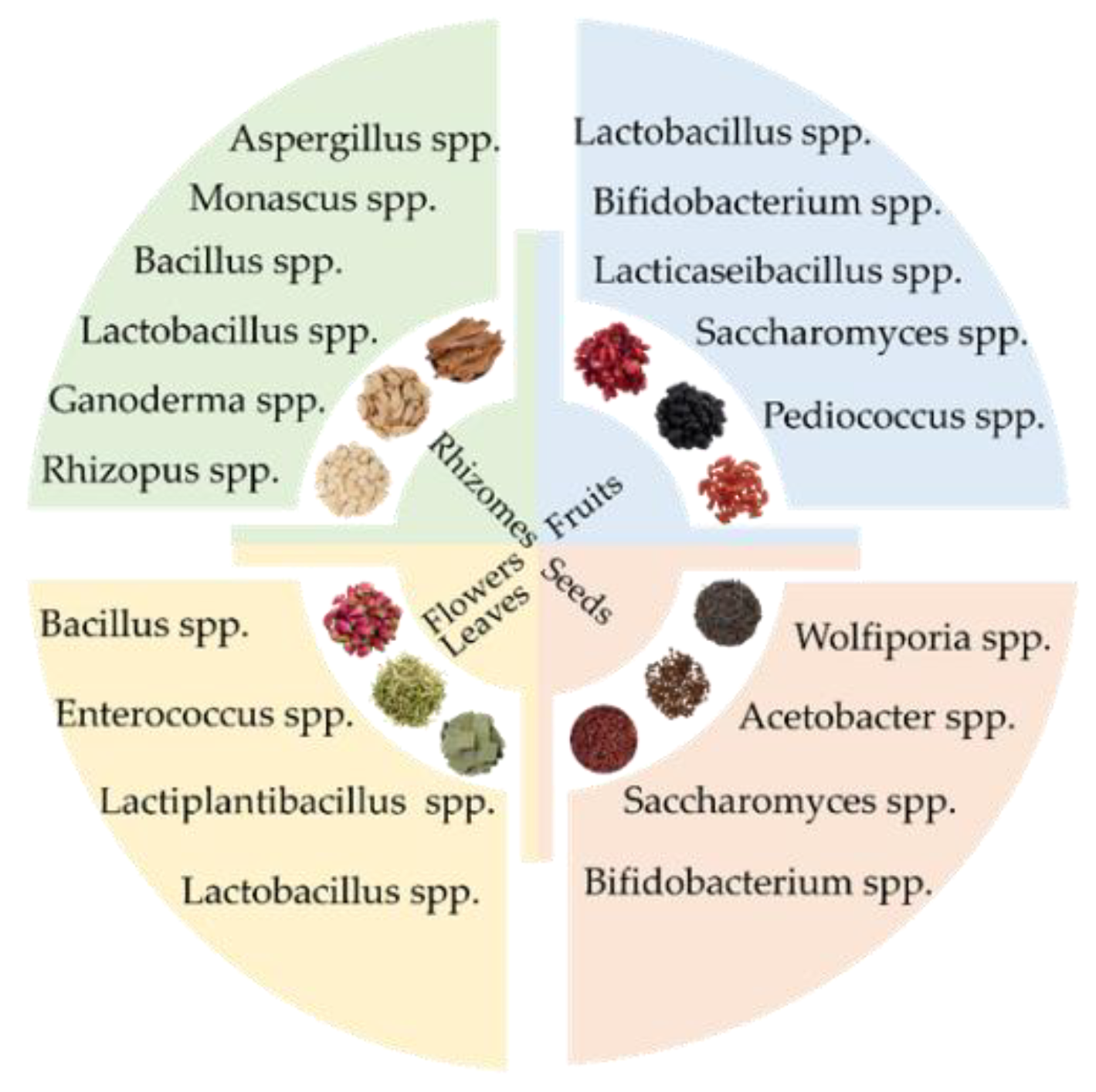 Preprints 182604 g003