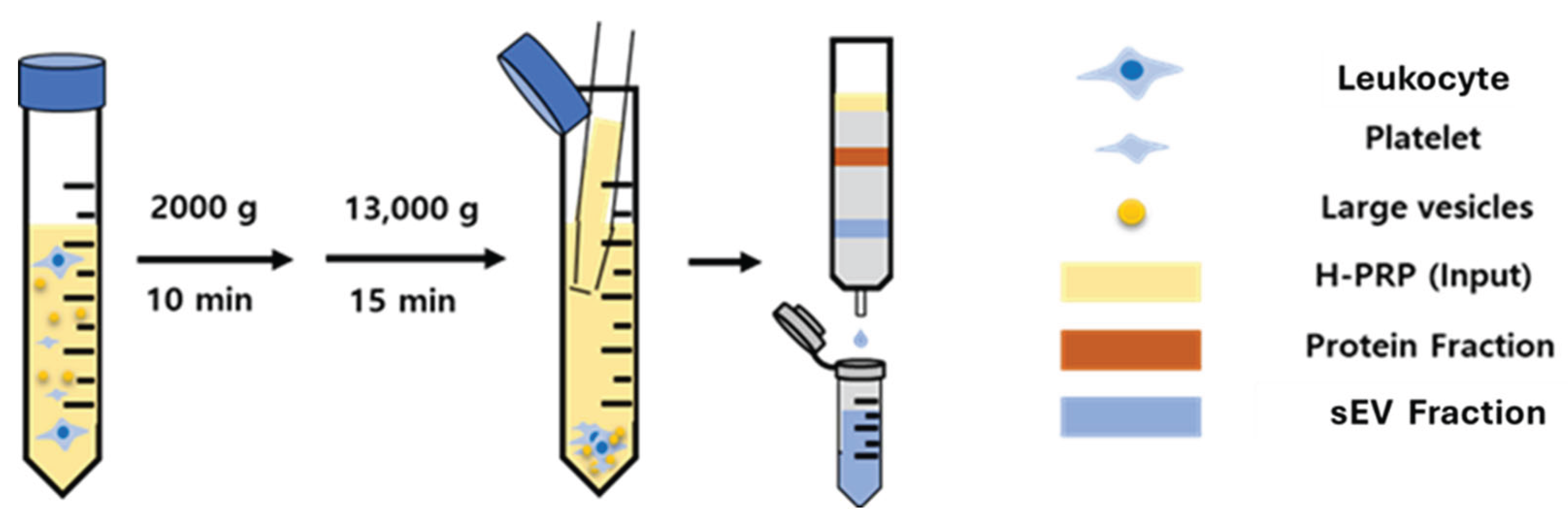 Preprints 198457 g003