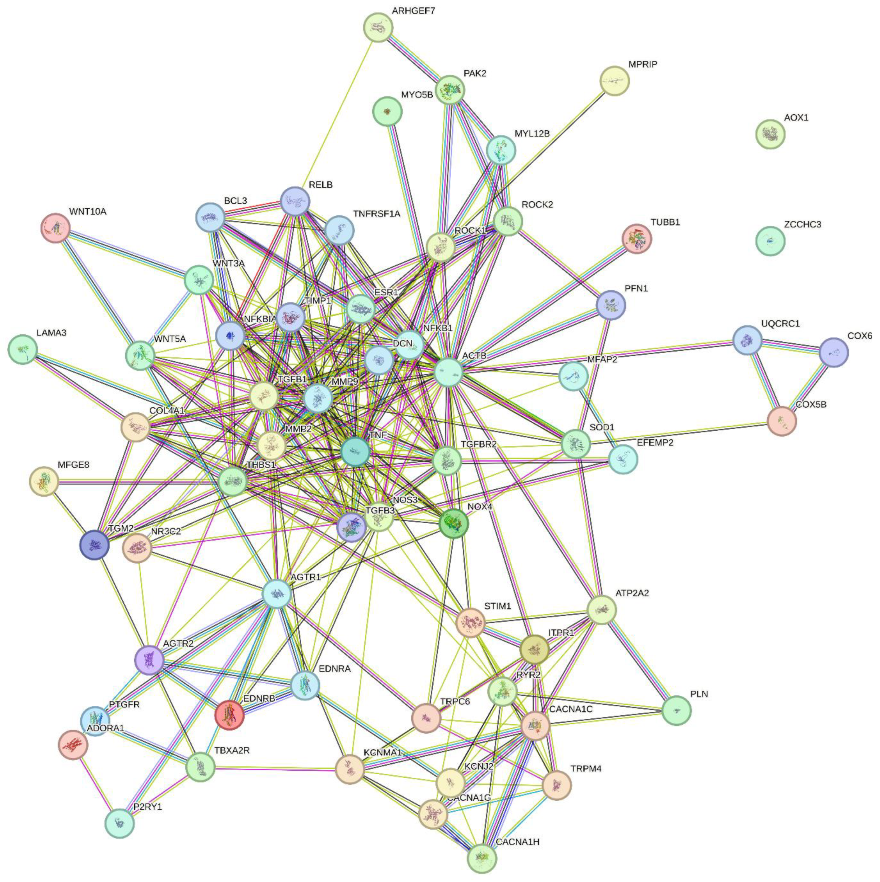 Preprints 97942 g001