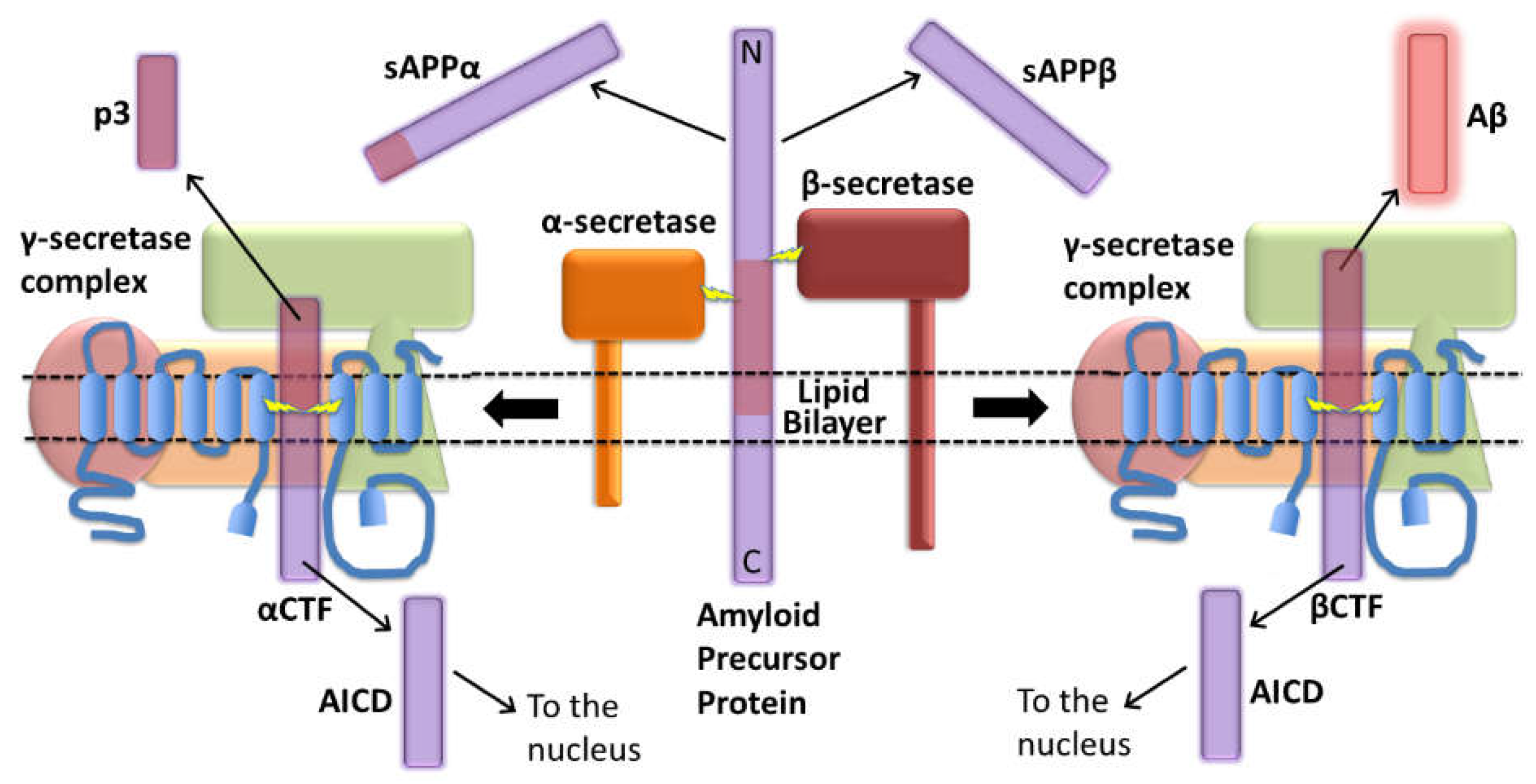 Preprints 70242 g001
