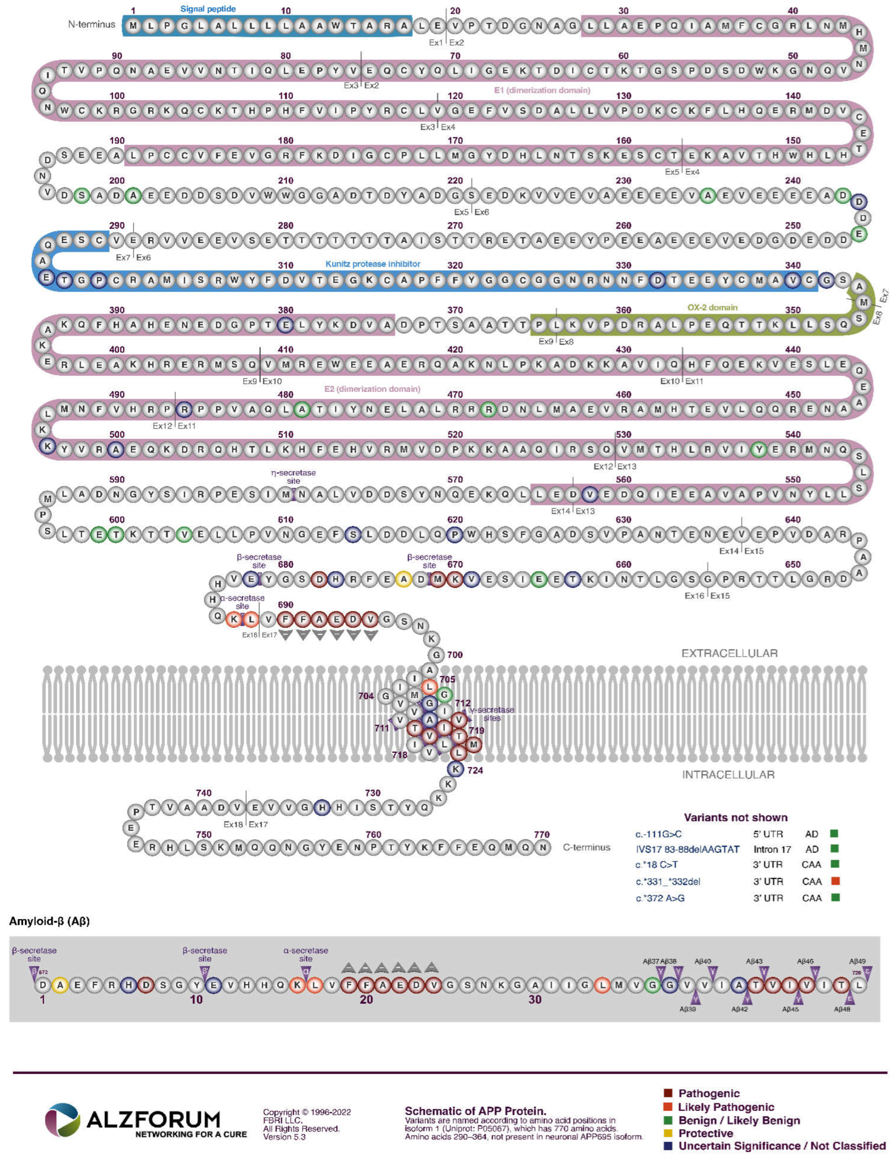 Preprints 70242 g002