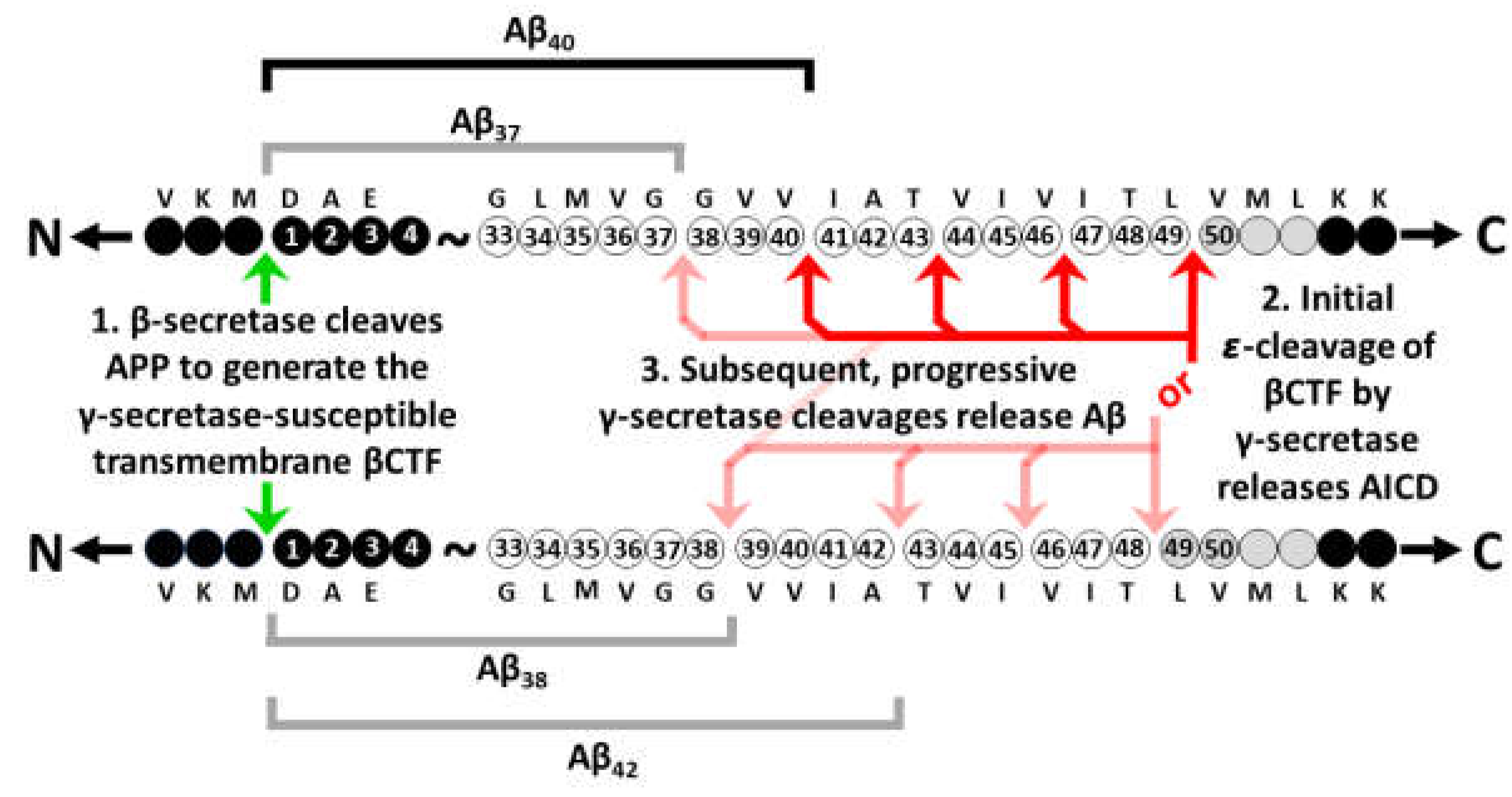 Preprints 70242 g003
