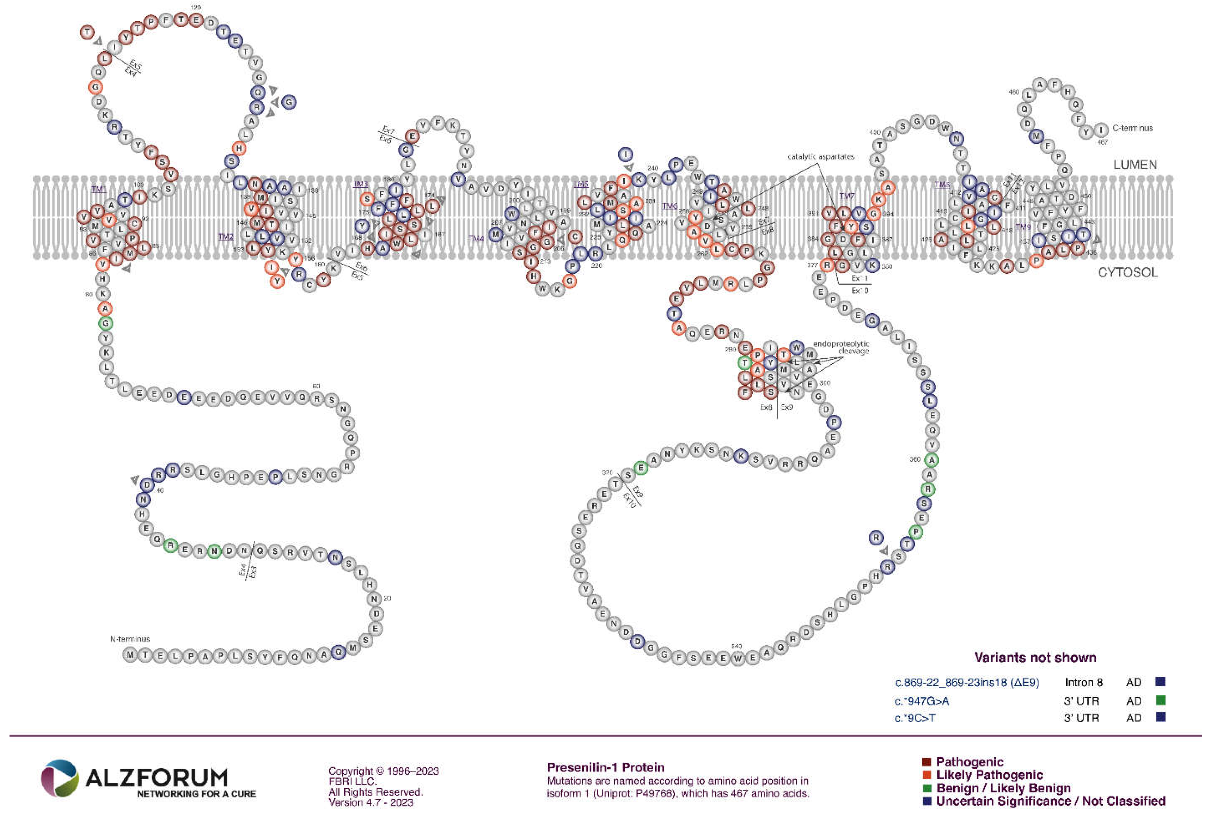 Preprints 70242 g005