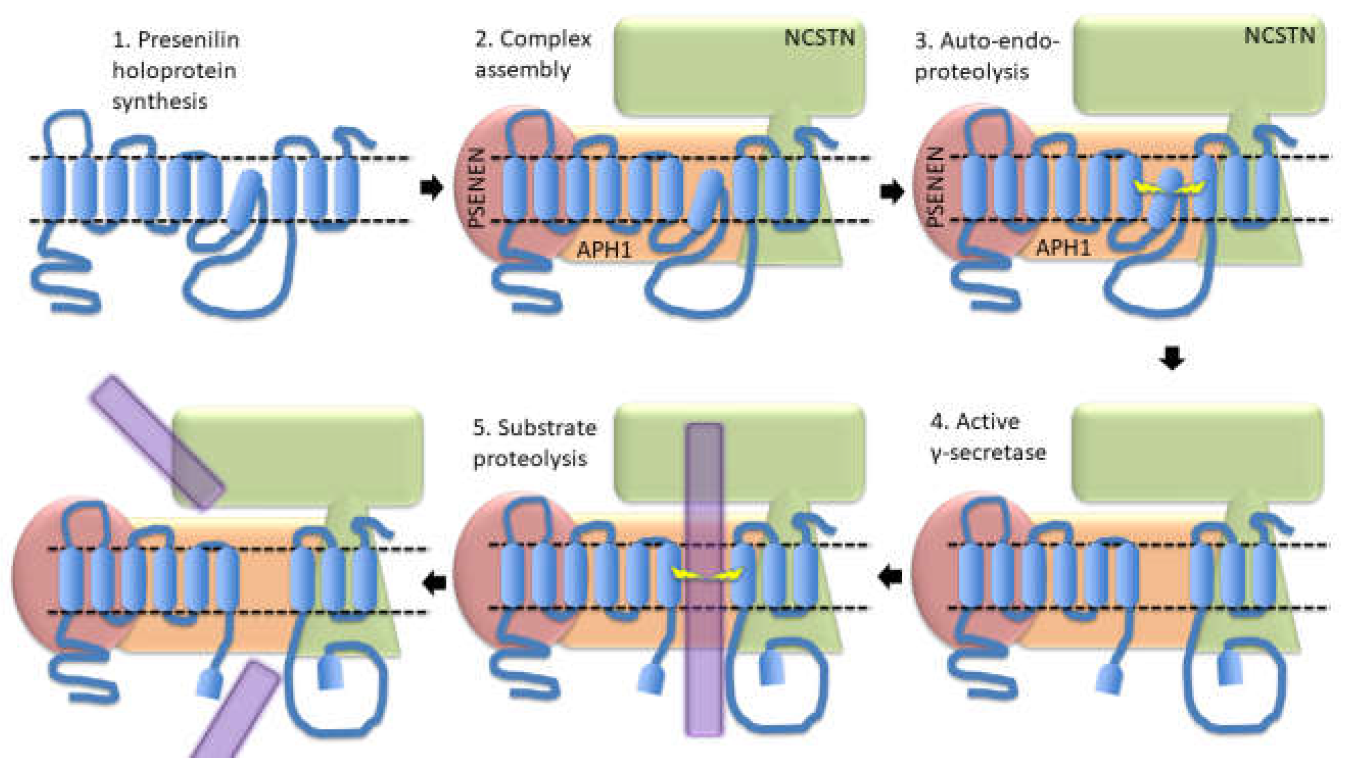Preprints 70242 g007