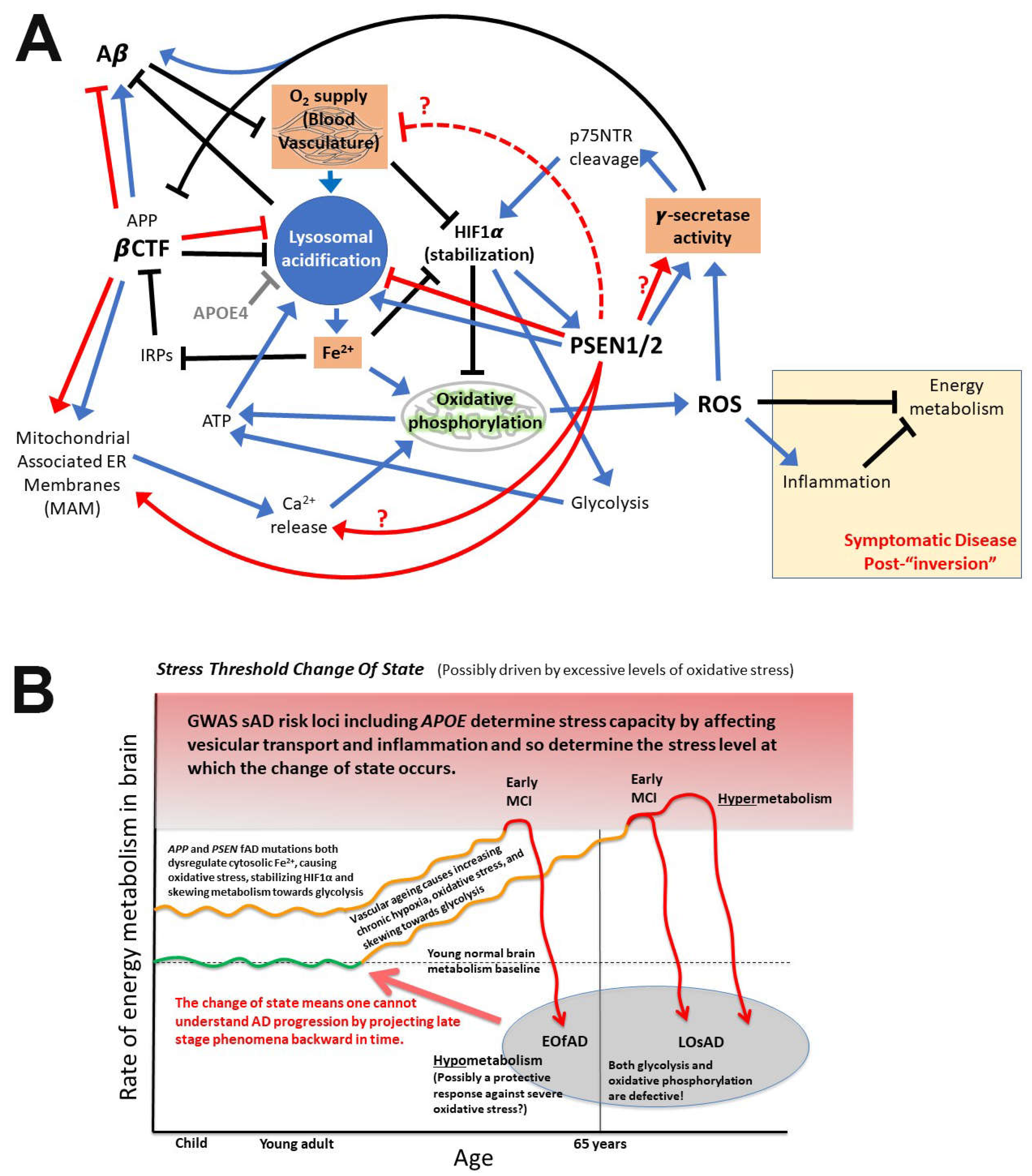 Preprints 70242 g010