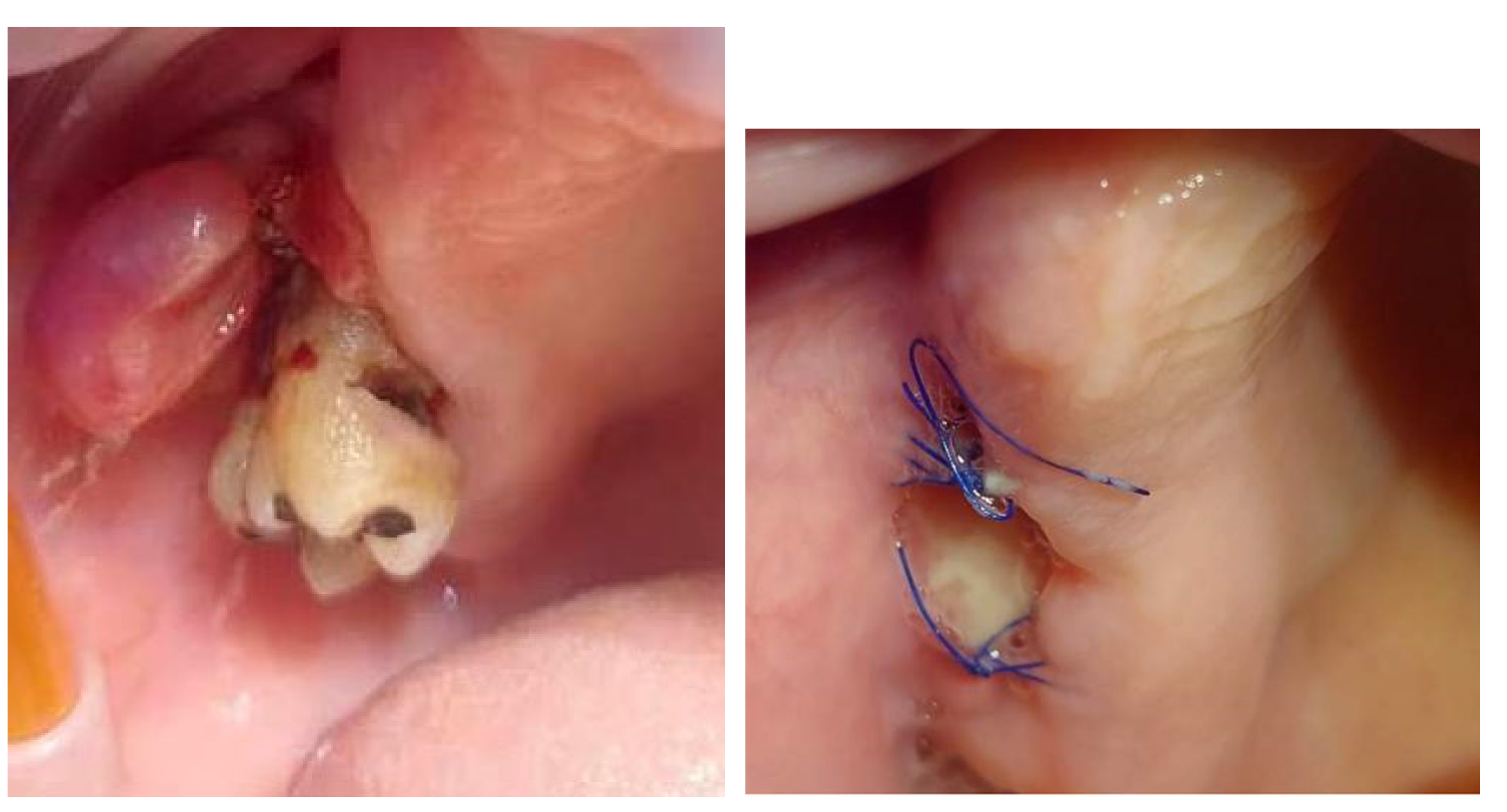 Preprints 169129 g001