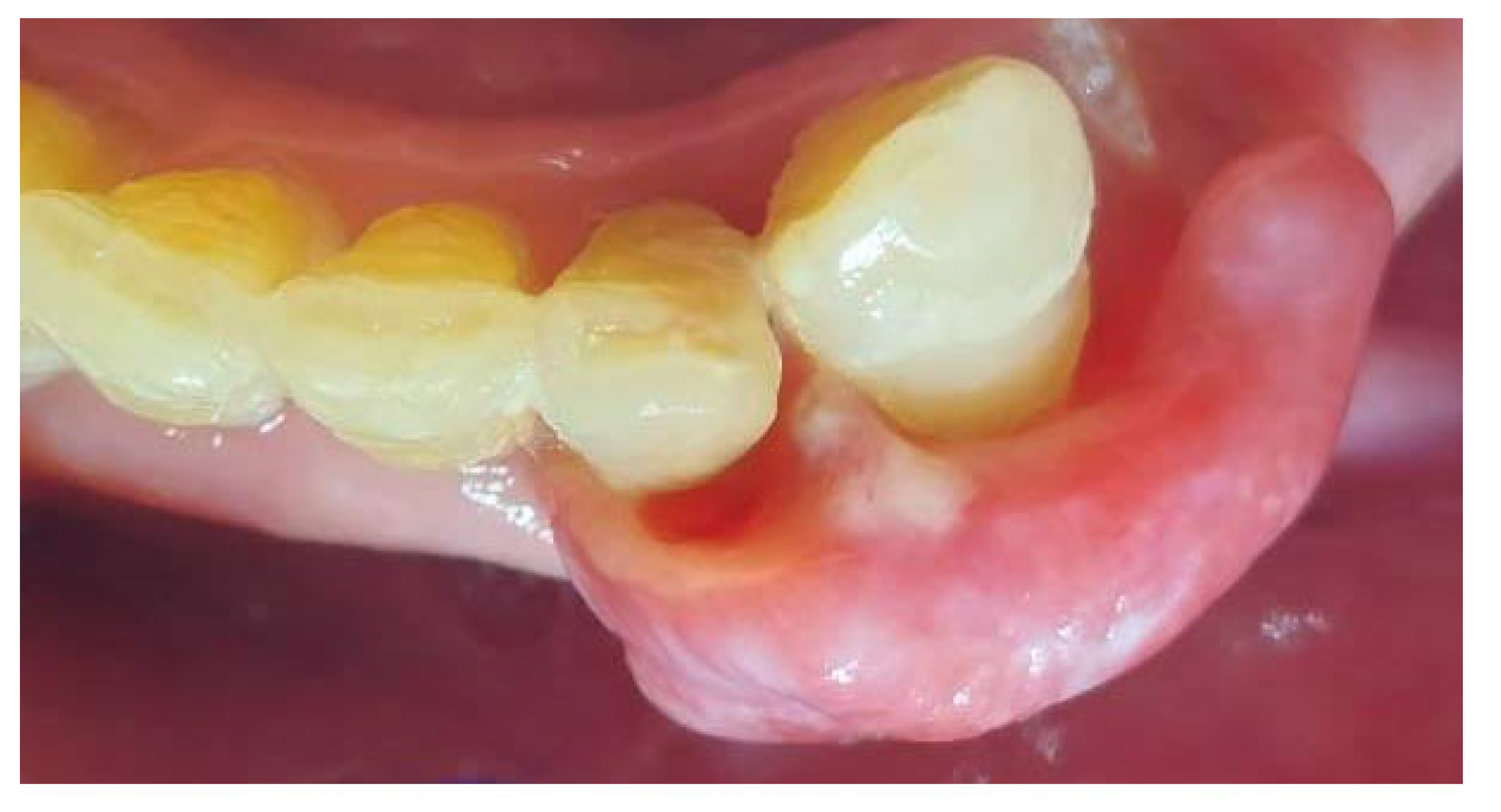 Preprints 169129 g002