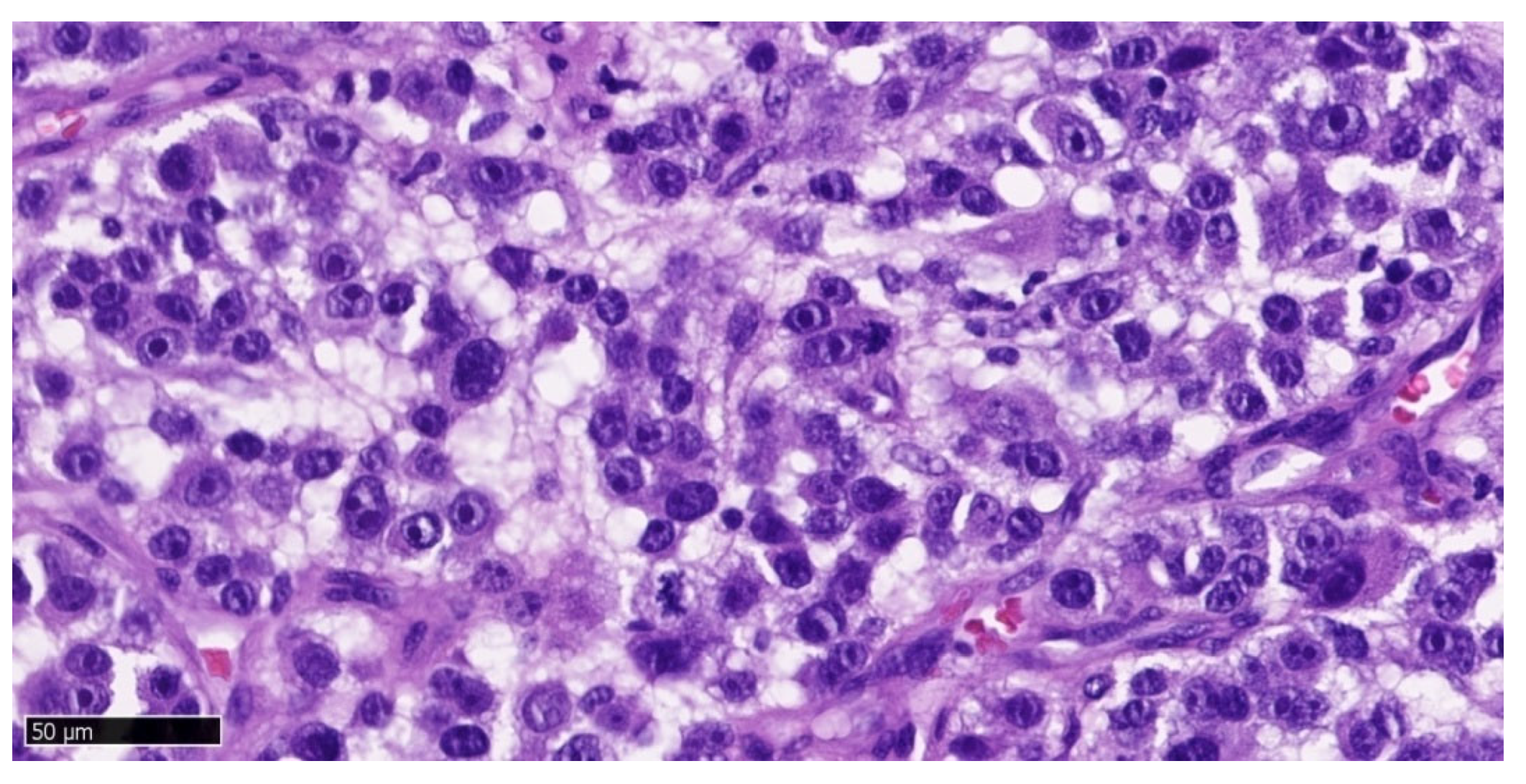 Preprints 169129 g005