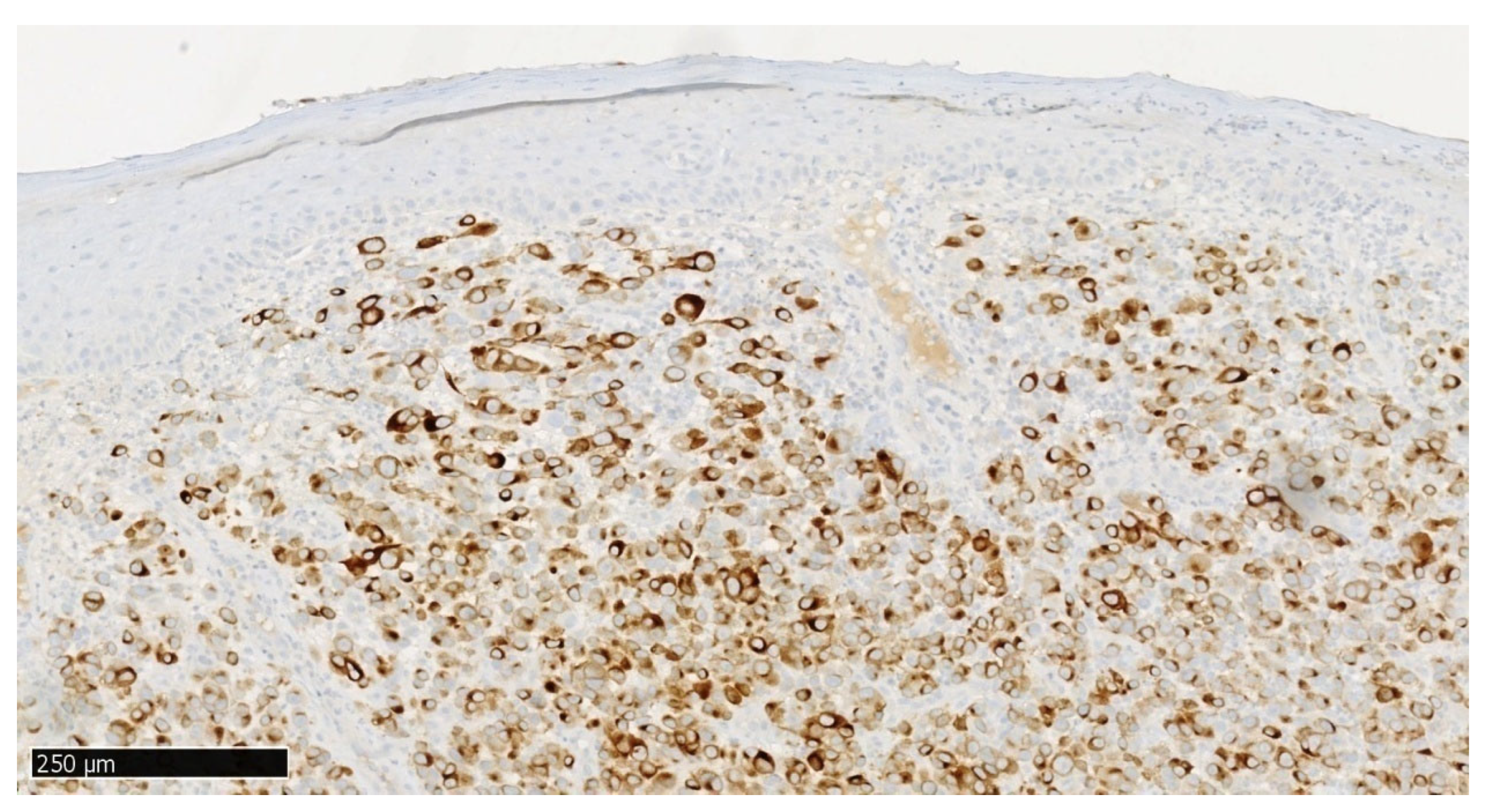 Preprints 169129 g007