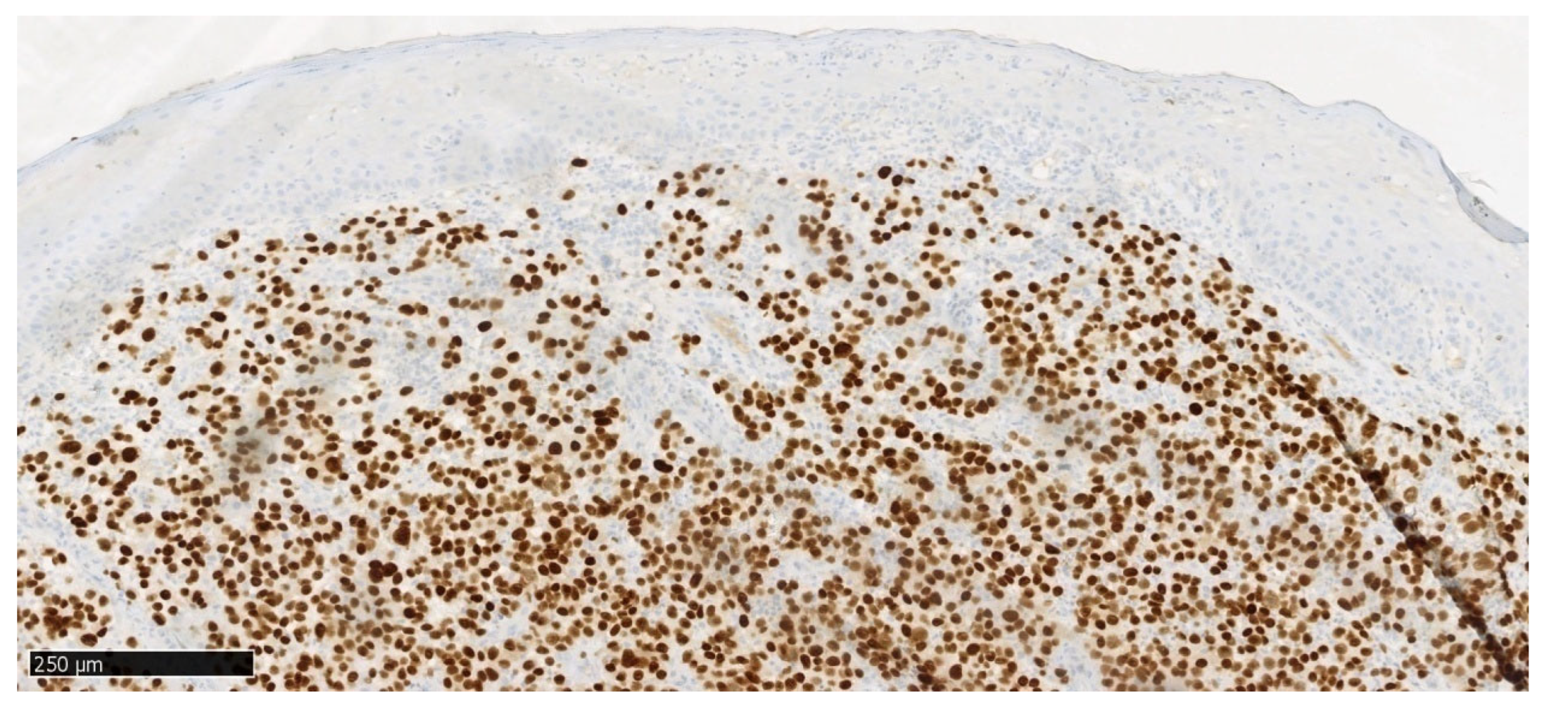 Preprints 169129 g009