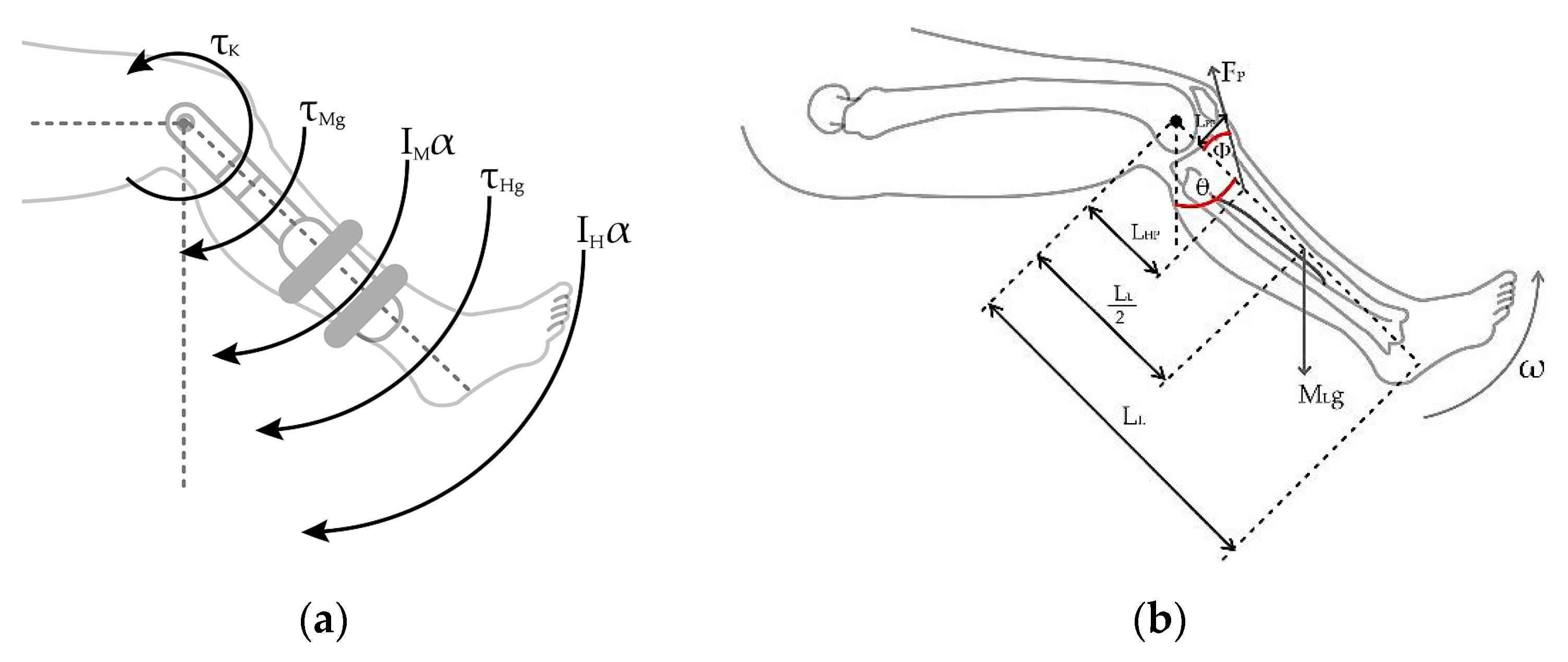 Preprints 73364 g005