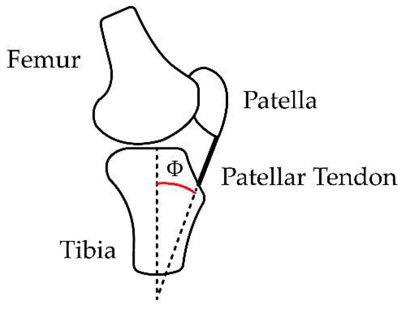 Preprints 73364 g006