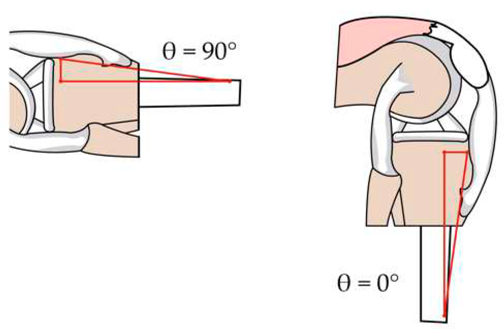Preprints 73364 g008