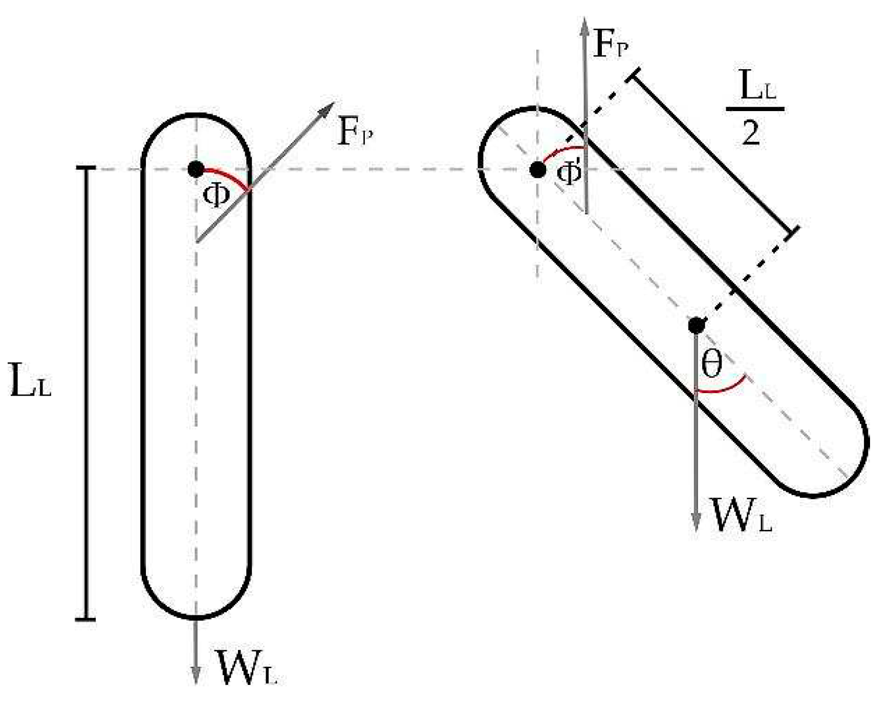 Preprints 73364 g010