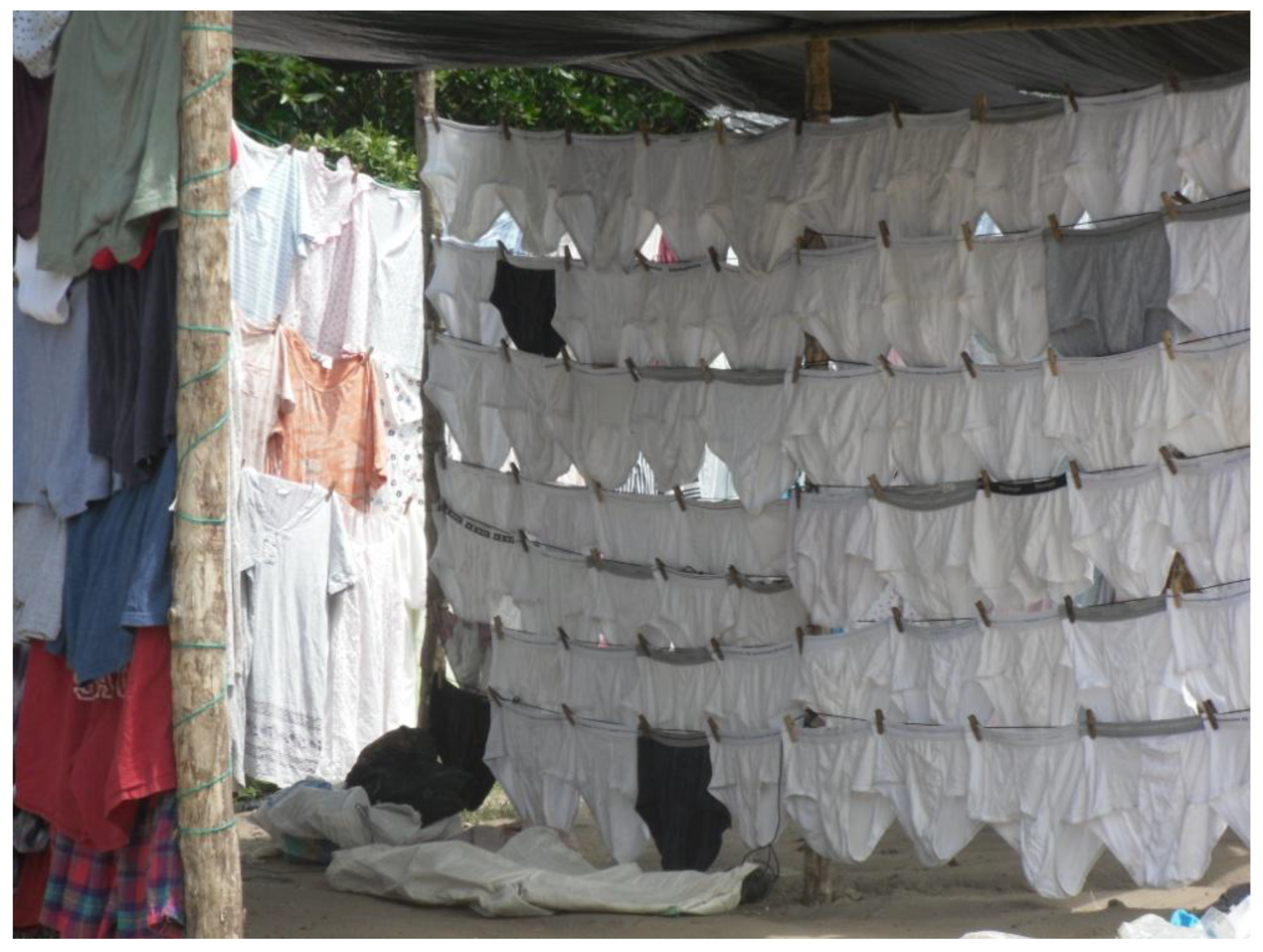 Preprints 169651 g002