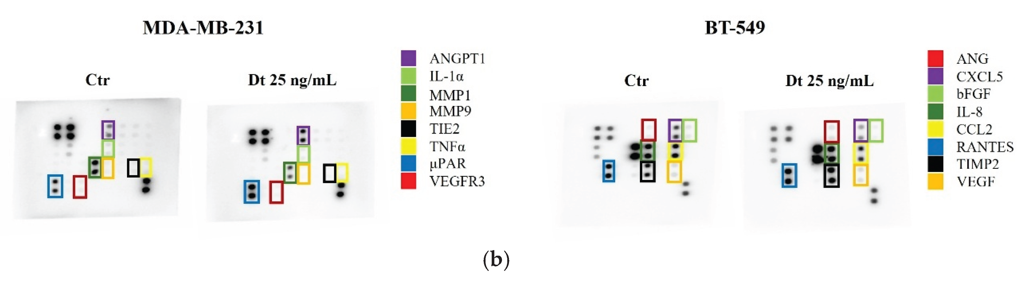 Preprints 190578 g008b