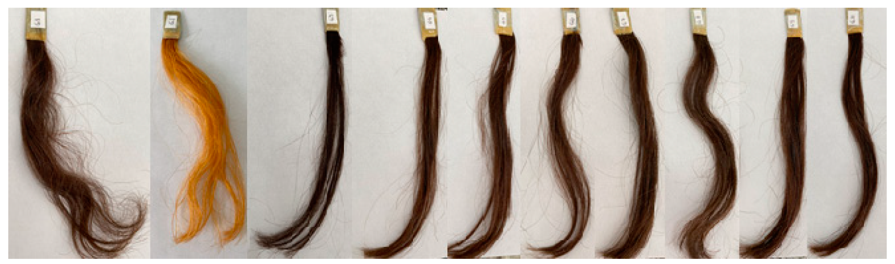 Preprints 140930 g001