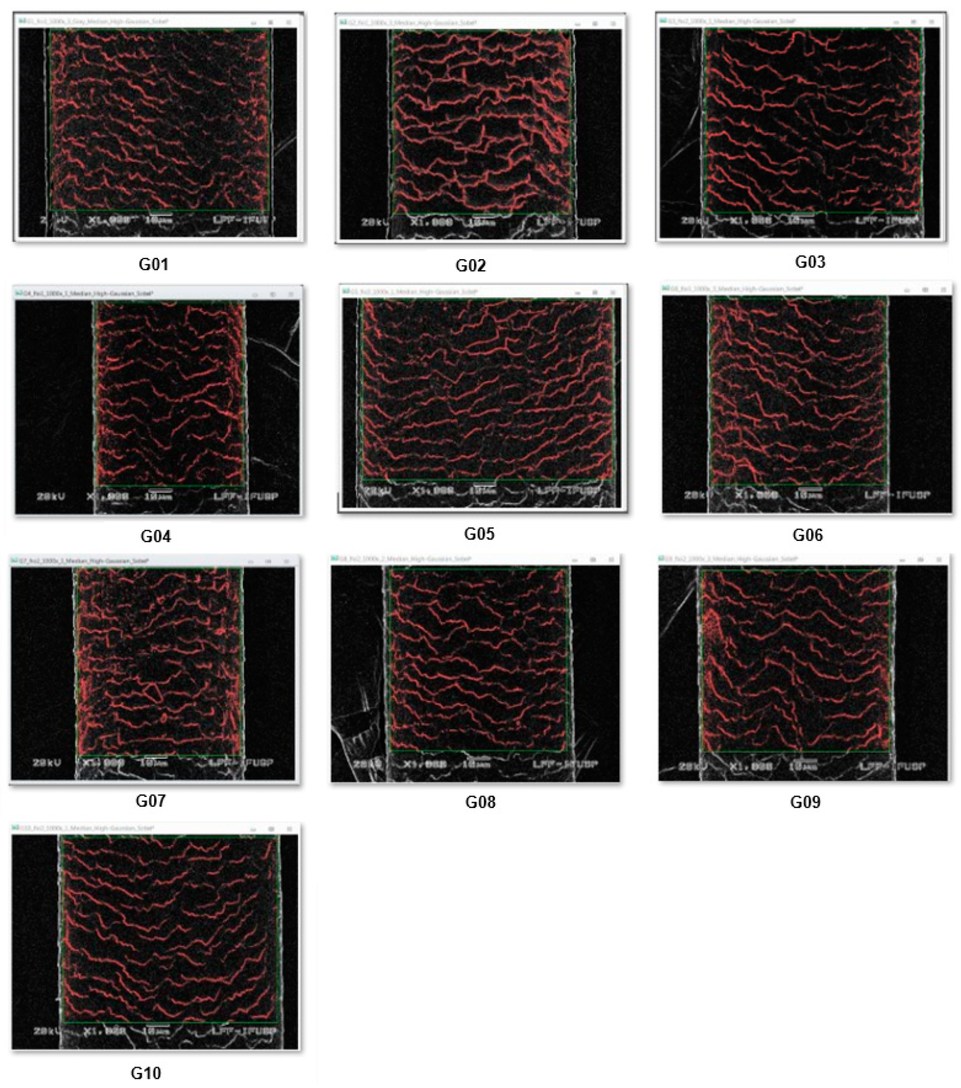Preprints 140930 g003