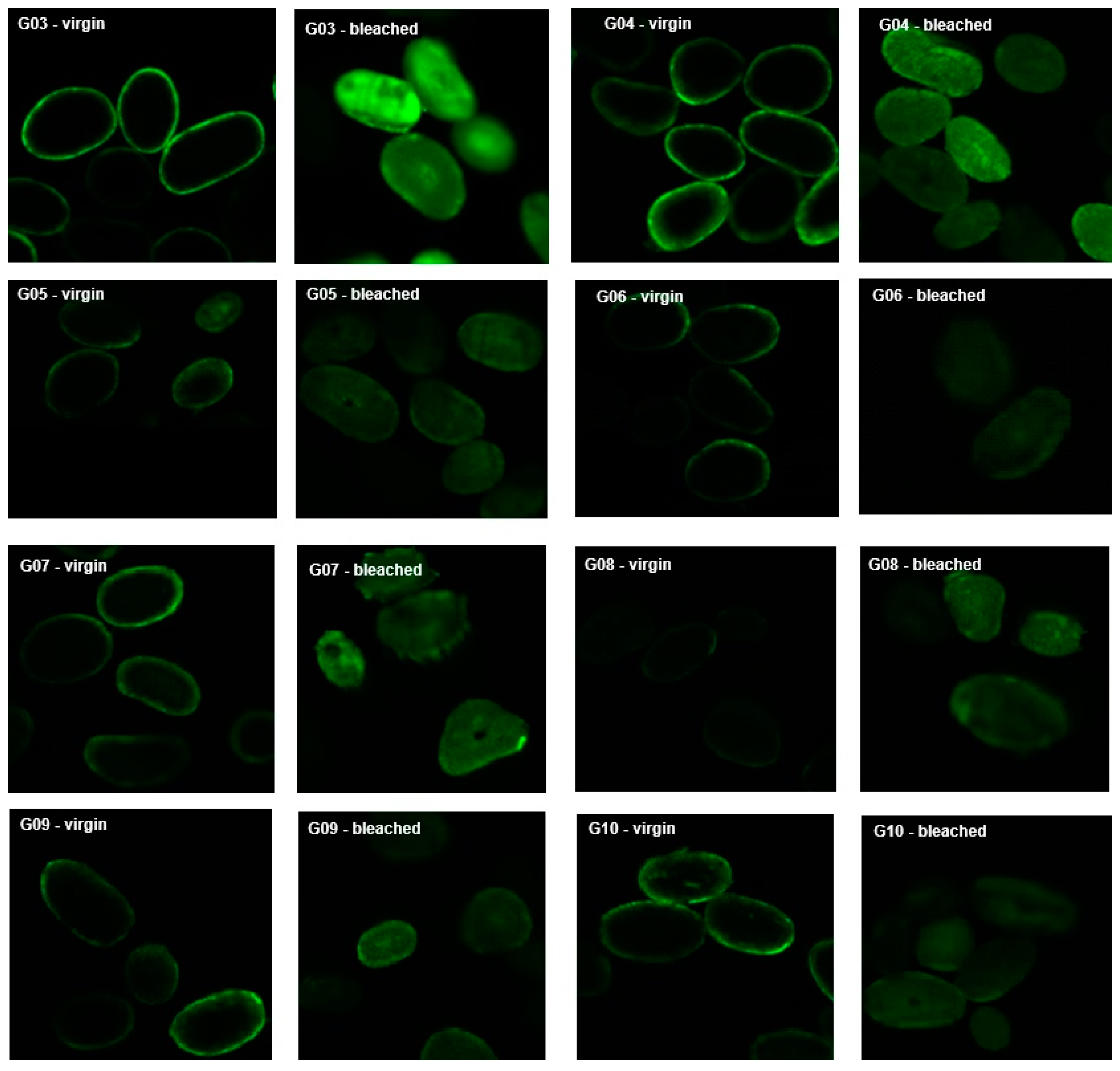 Preprints 140930 g006