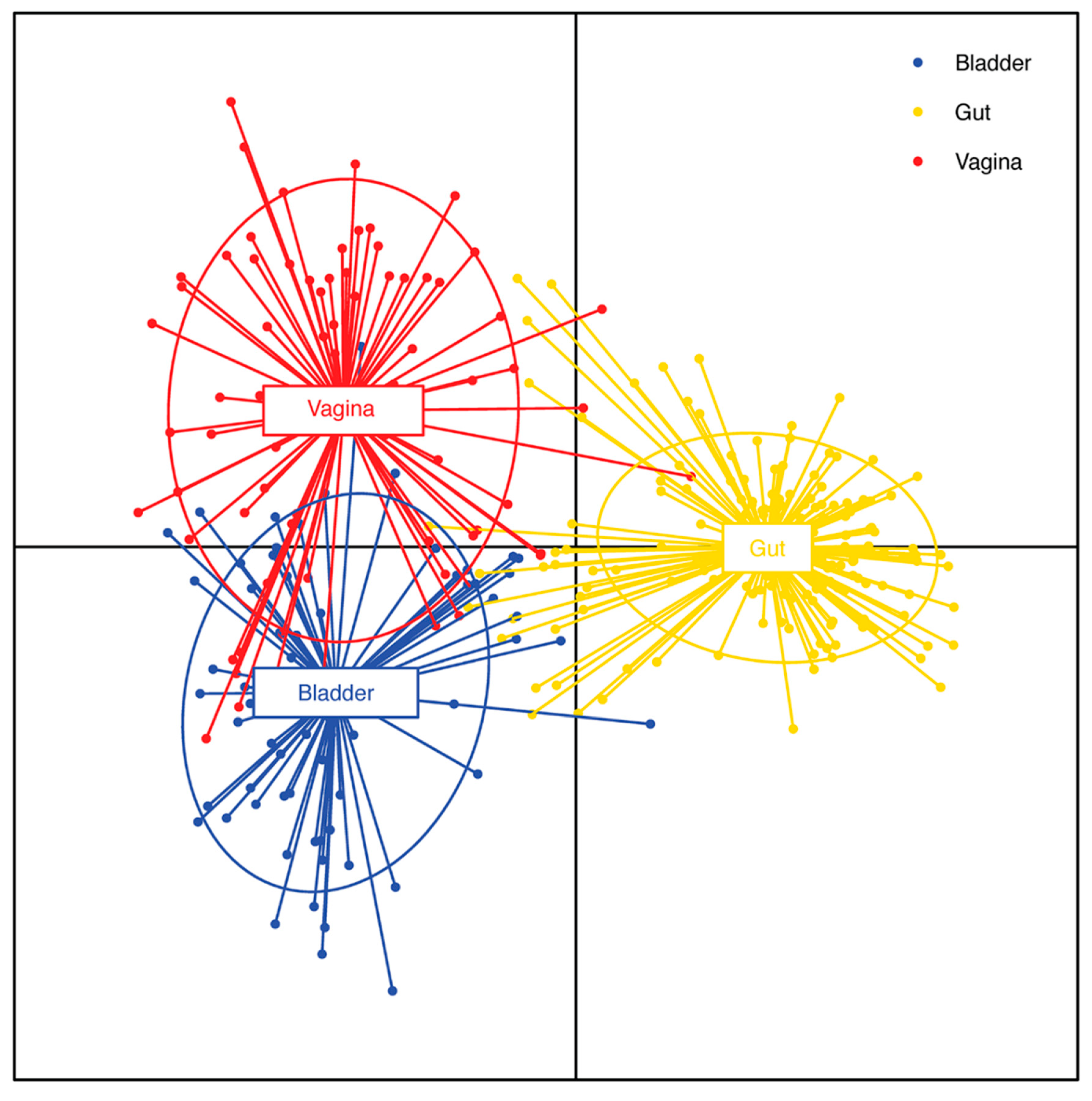 Preprints 149511 g001
