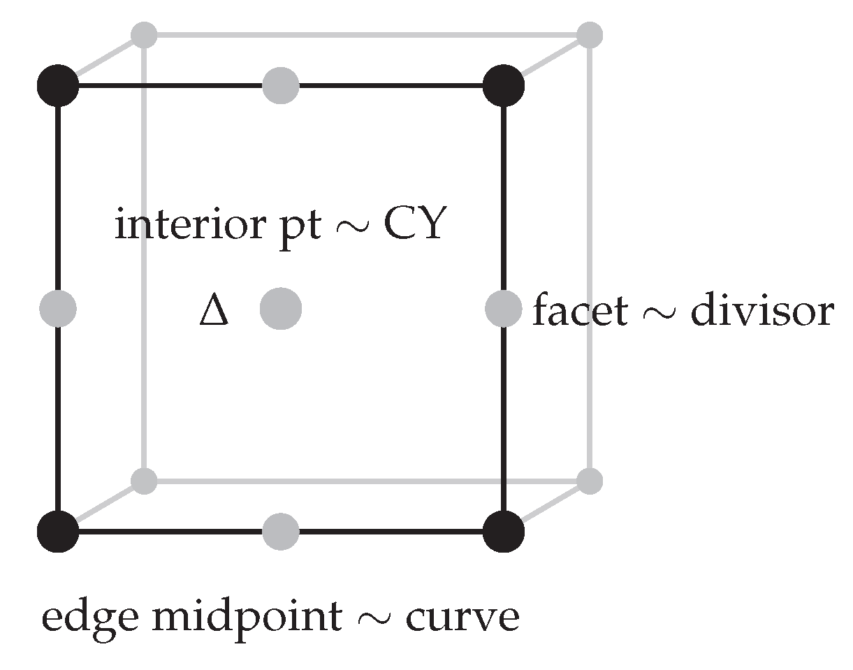 Topological Slice Structures in Calabi–Yau Manifolds[v1