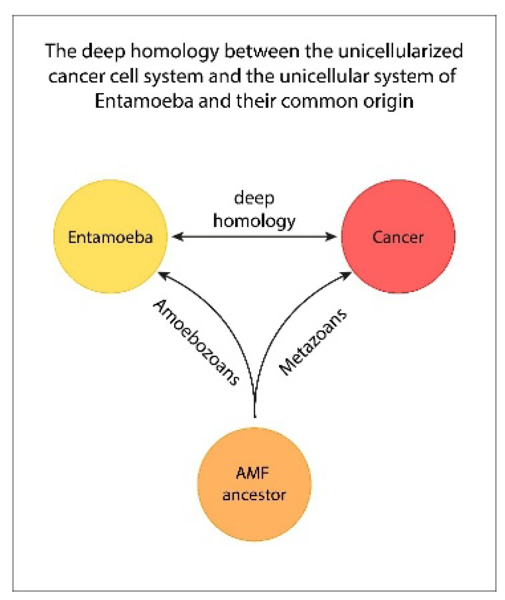 Preprints 171496 g001