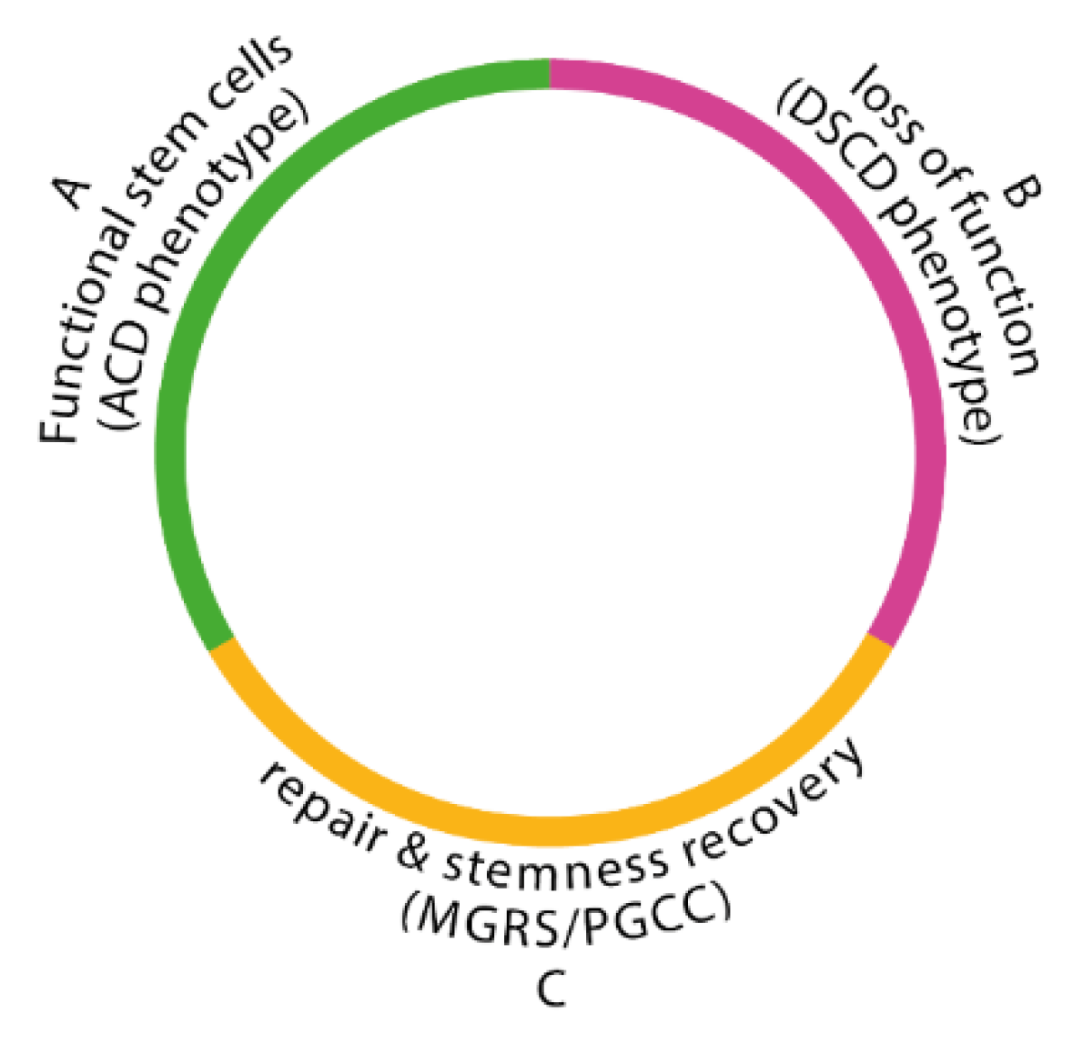 Preprints 171496 g002
