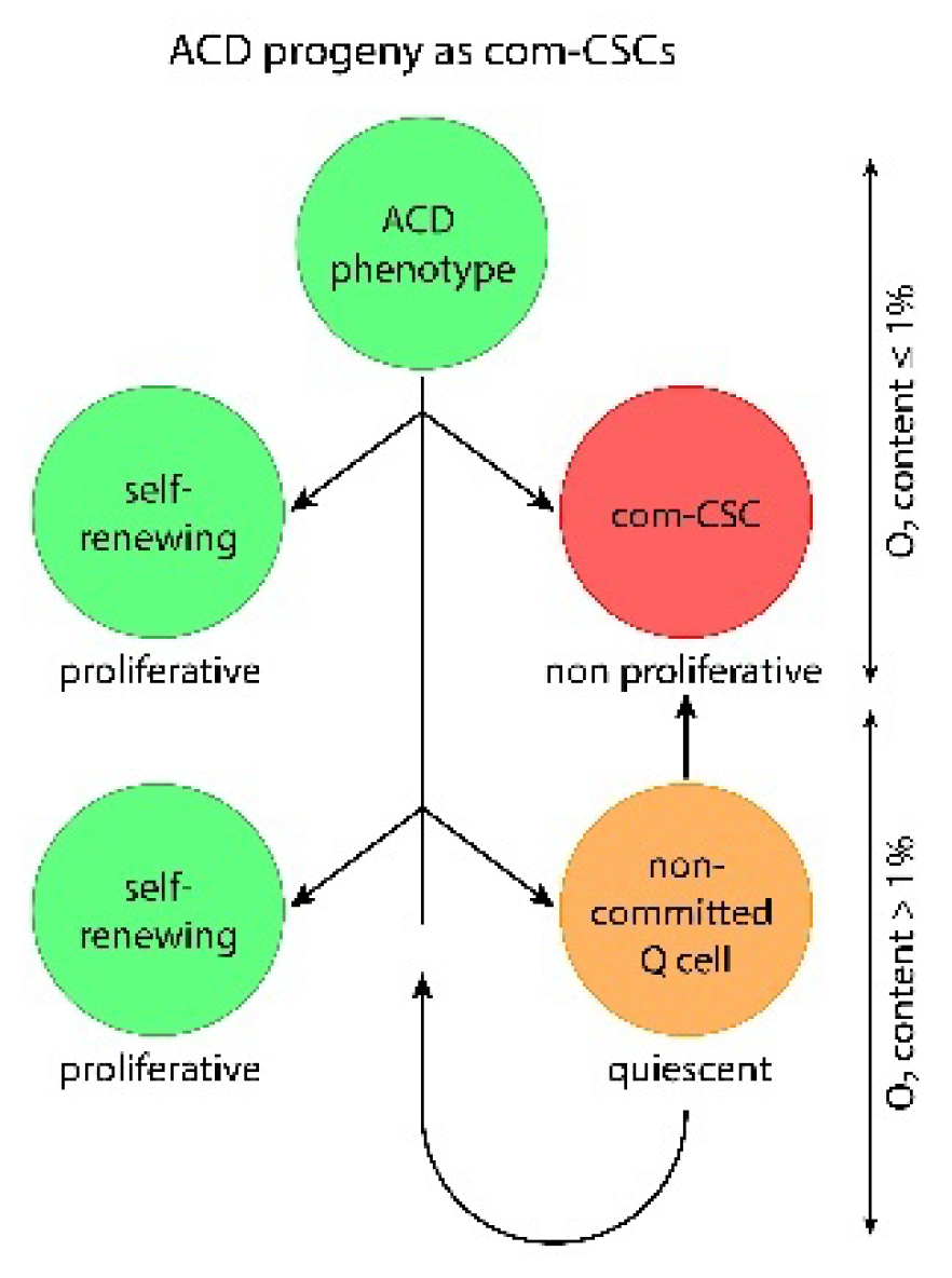 Preprints 171496 g003