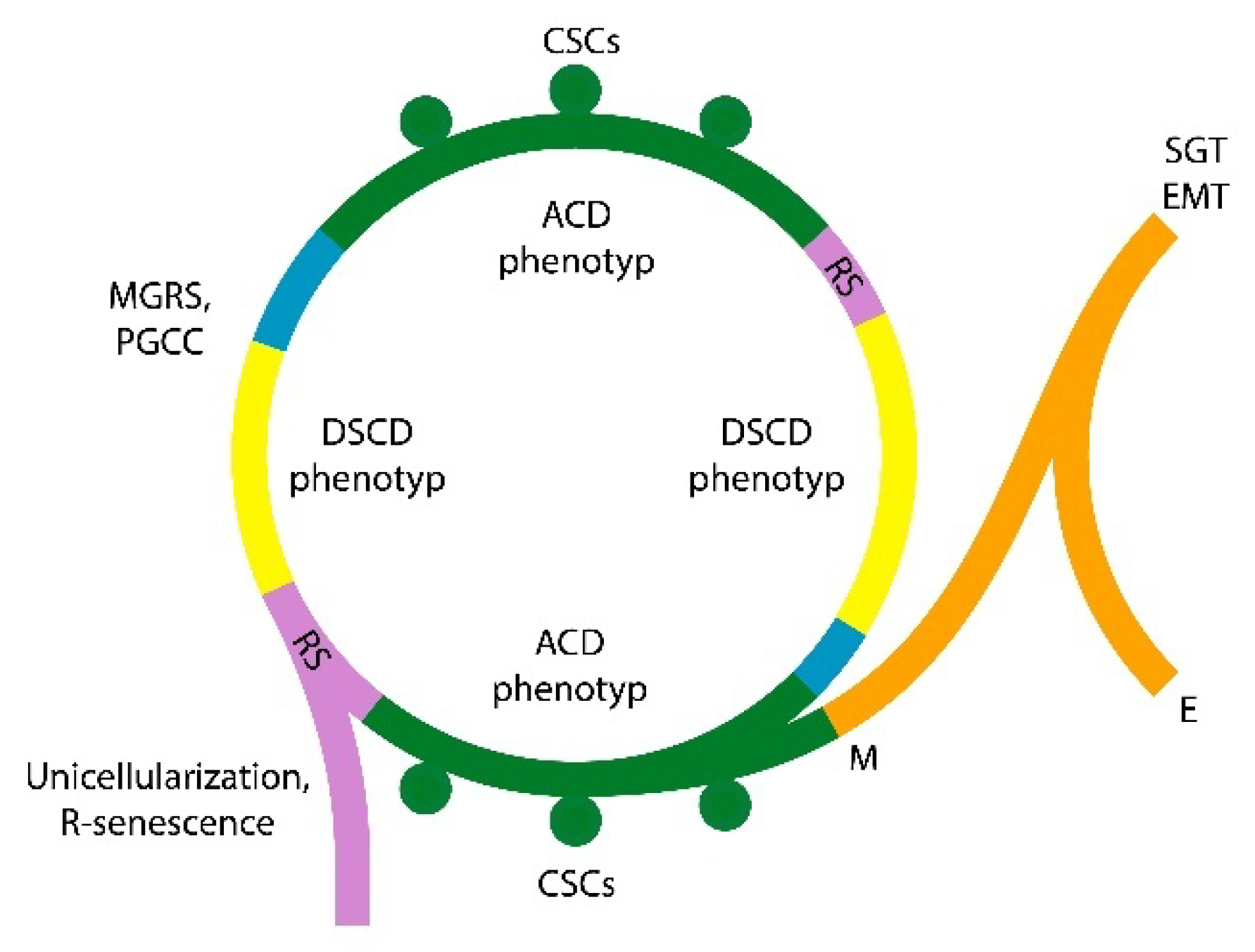 Preprints 171496 g004