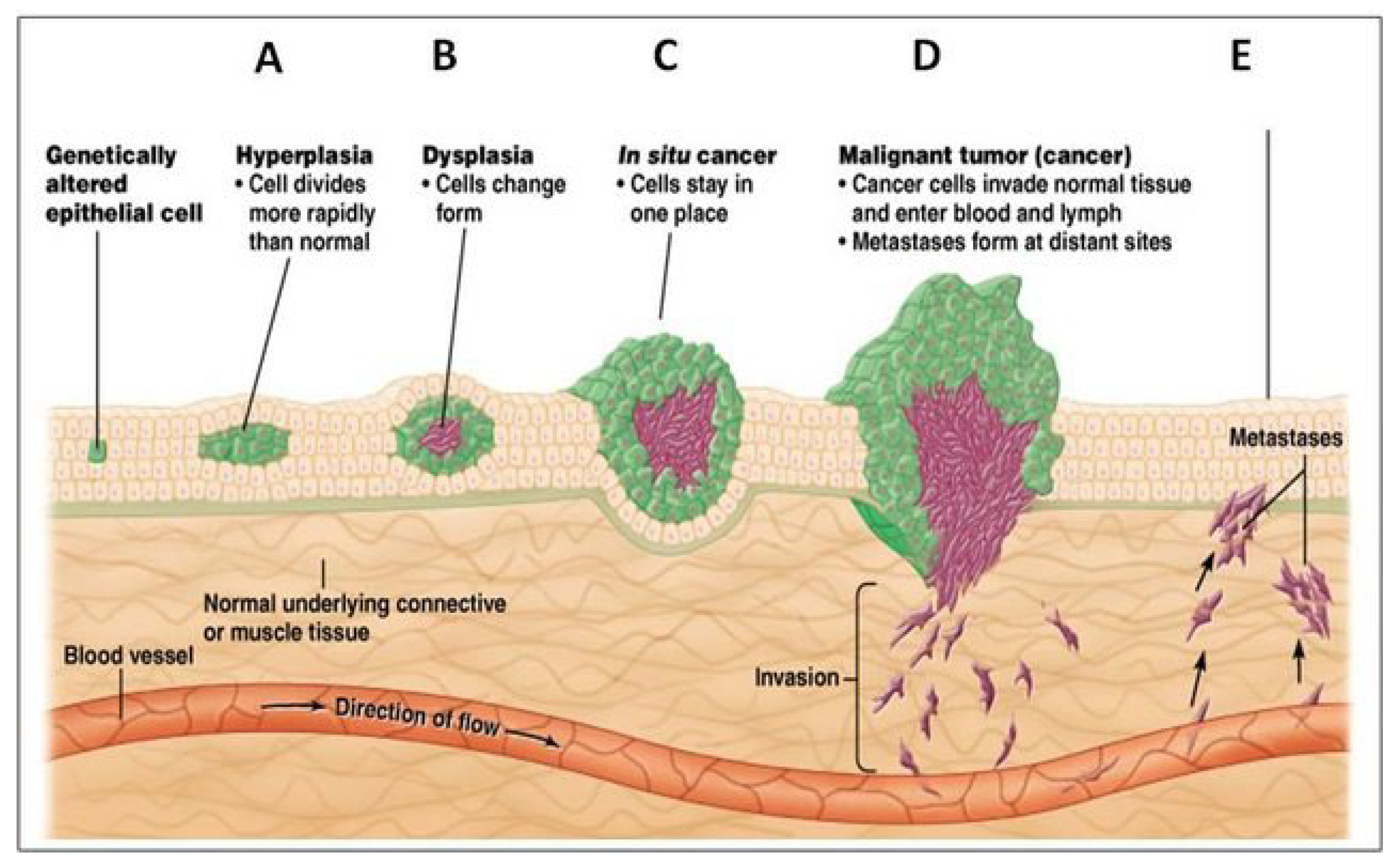 Preprints 171496 g005