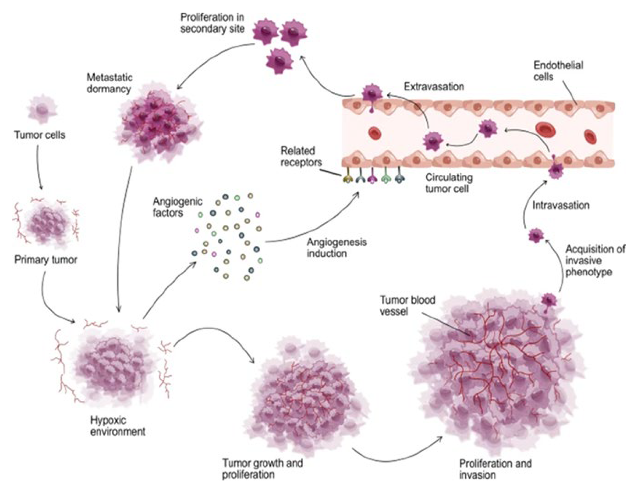 Preprints 171496 g006