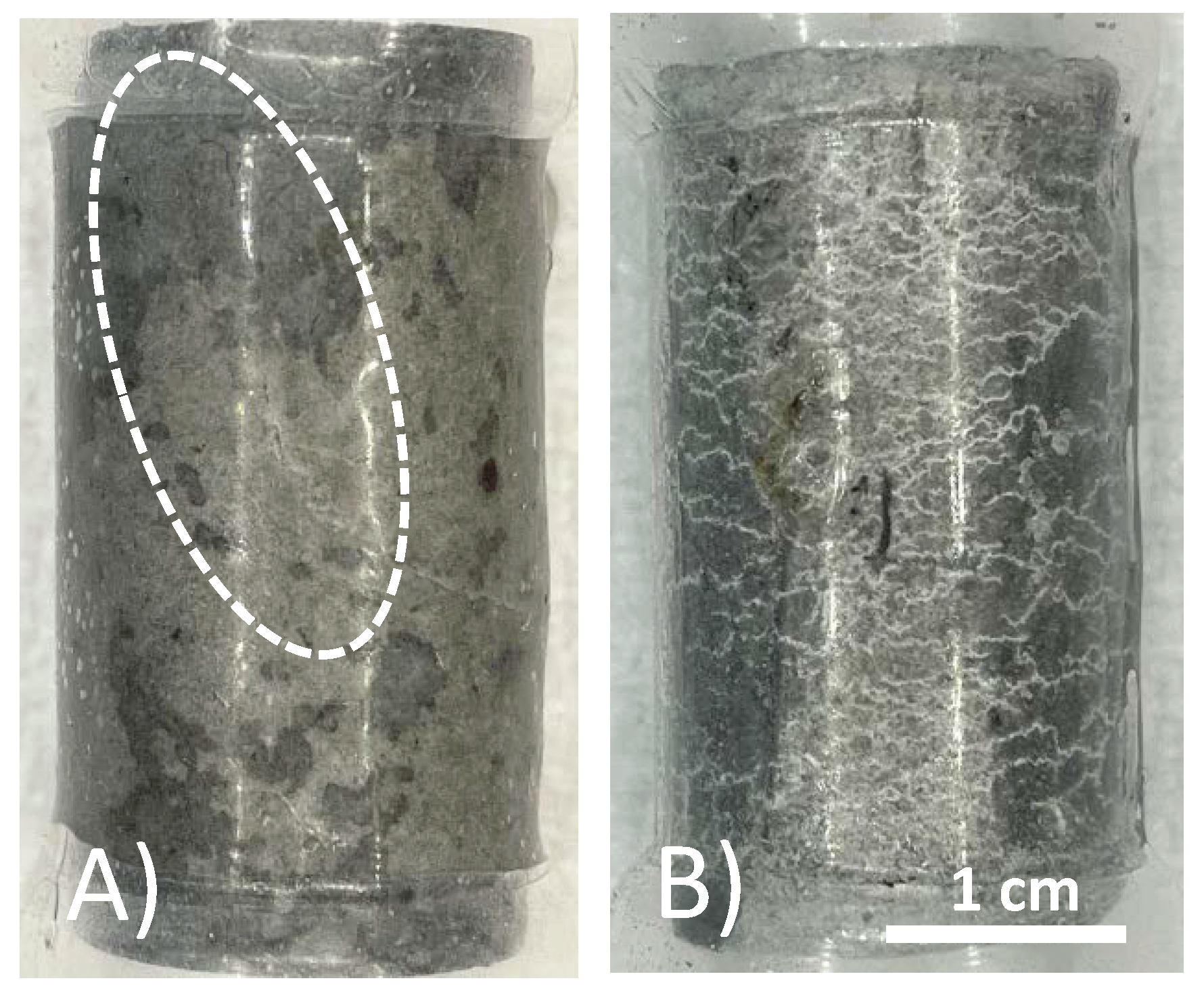 Preprints 97439 g010