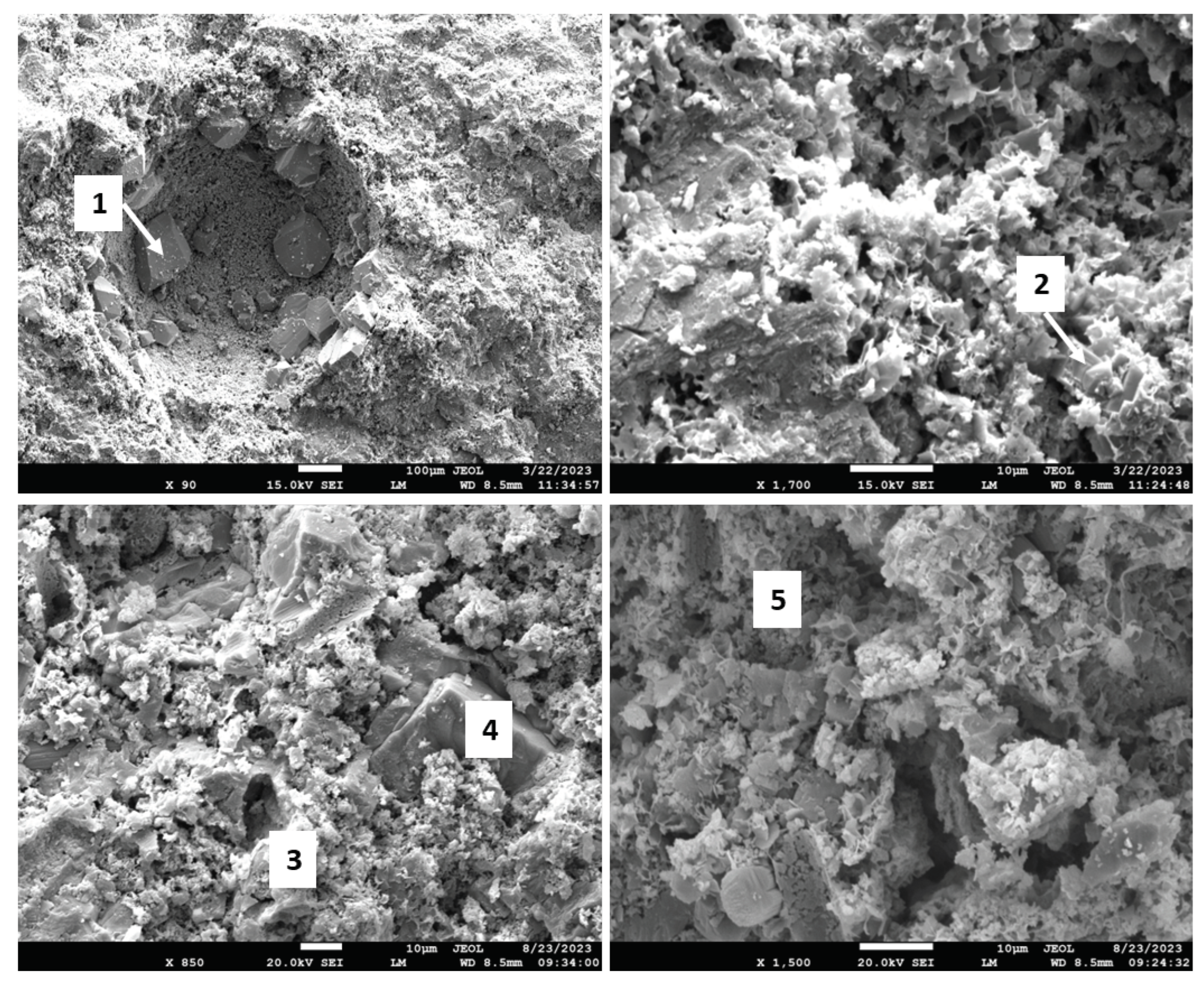 Preprints 97439 g018