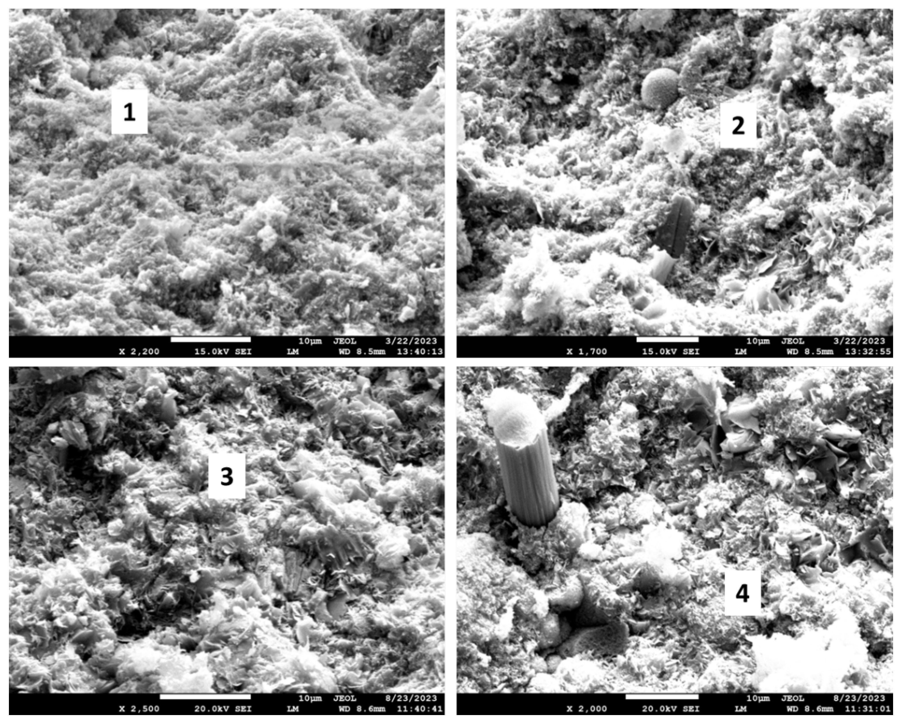 Preprints 97439 g024