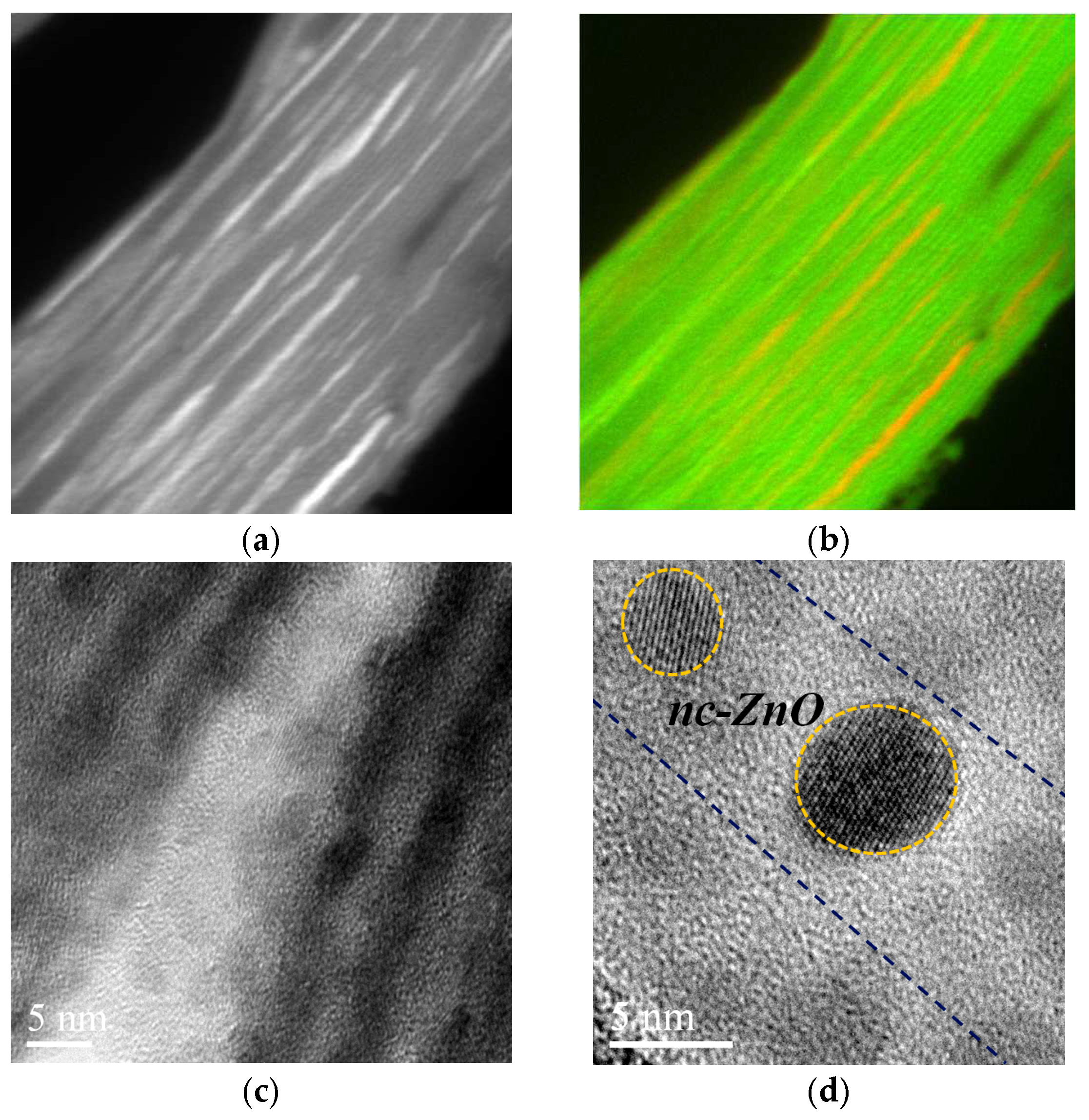 Preprints 151269 g006